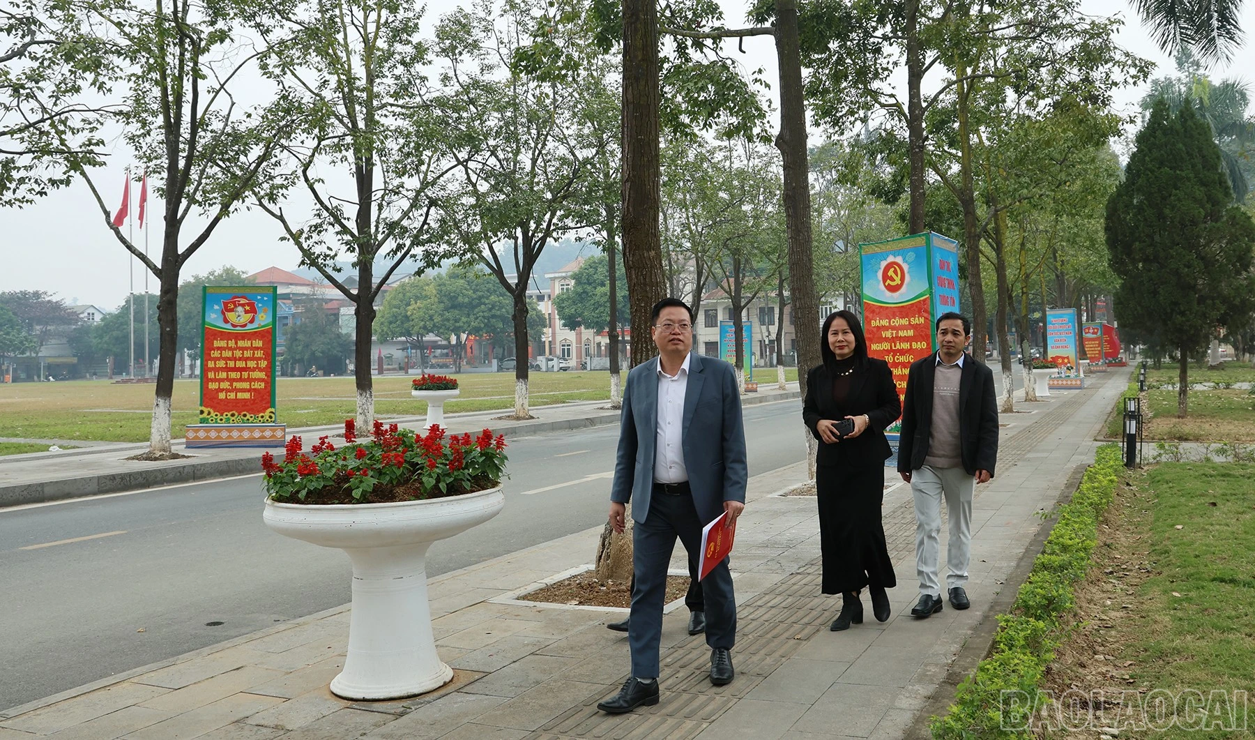 baolaocai-br_batxat-5.jpg