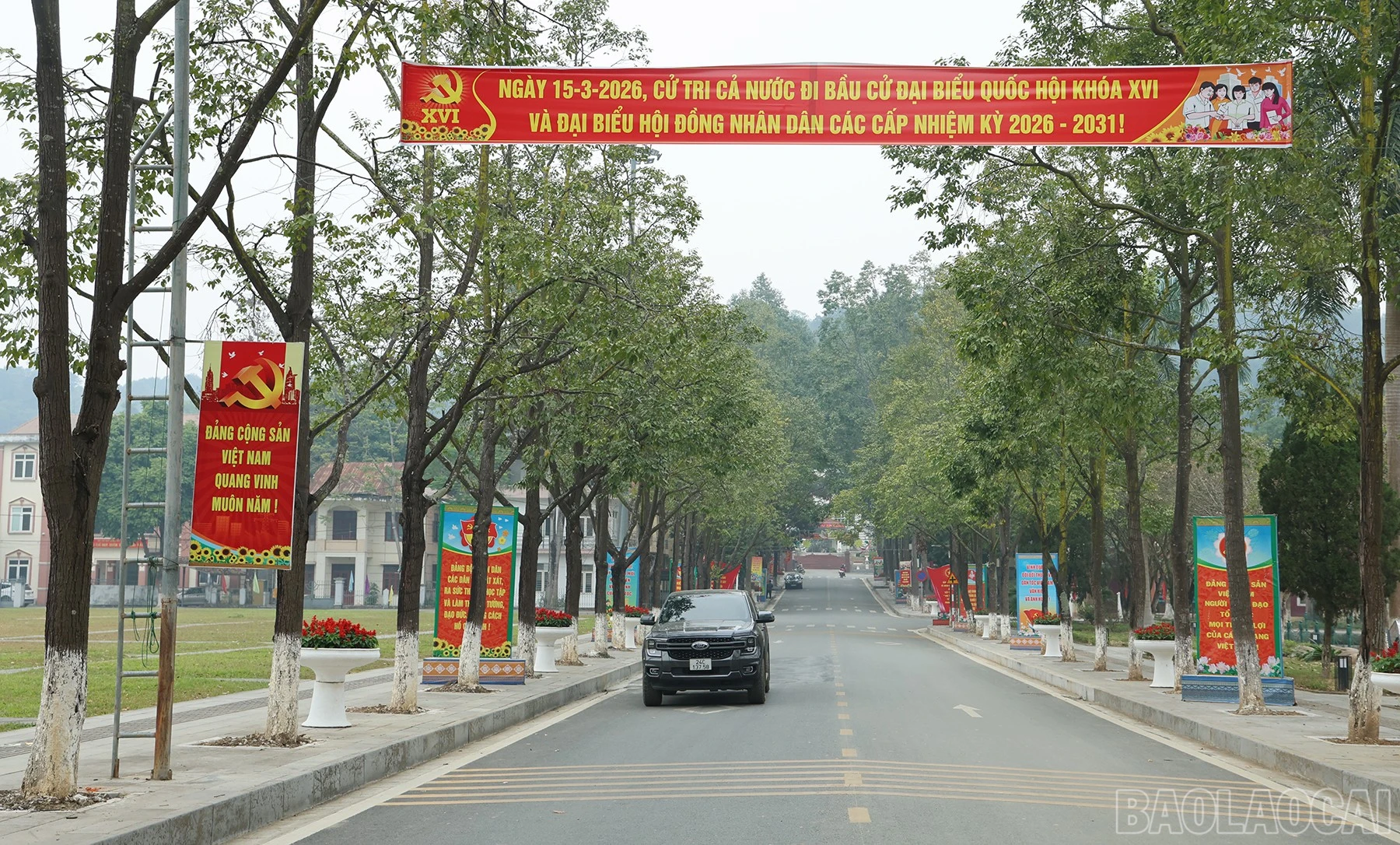 baolaocai-br_batxat-2.jpg