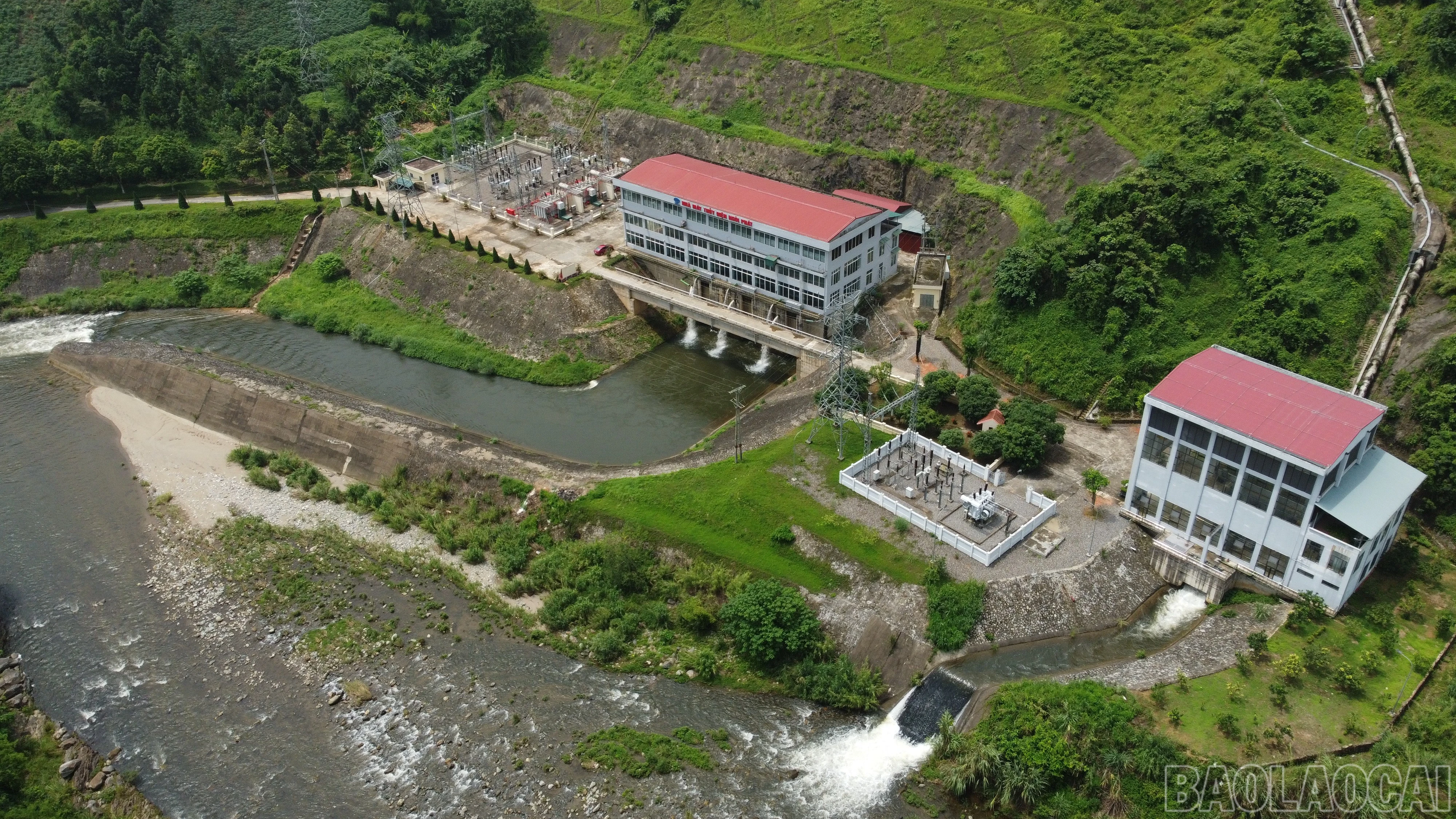 baolaocai-br_td-2.jpg