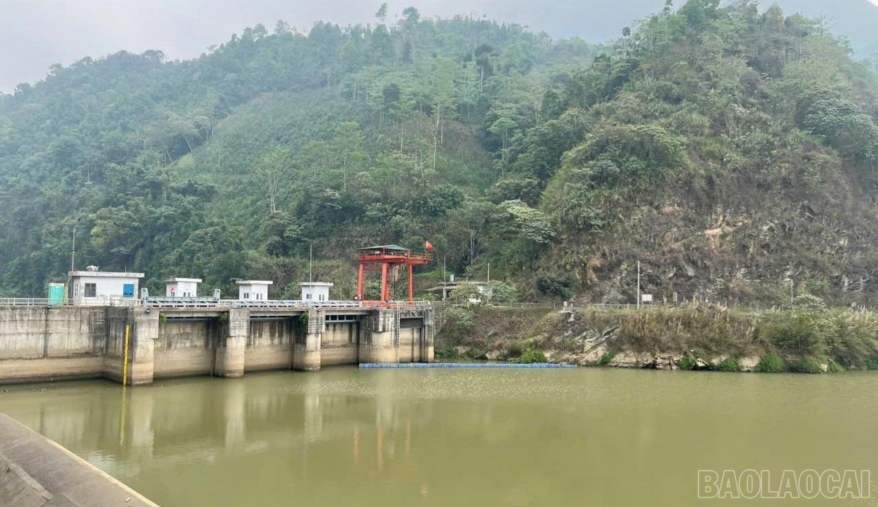 baolaocai-br_td-8.jpg