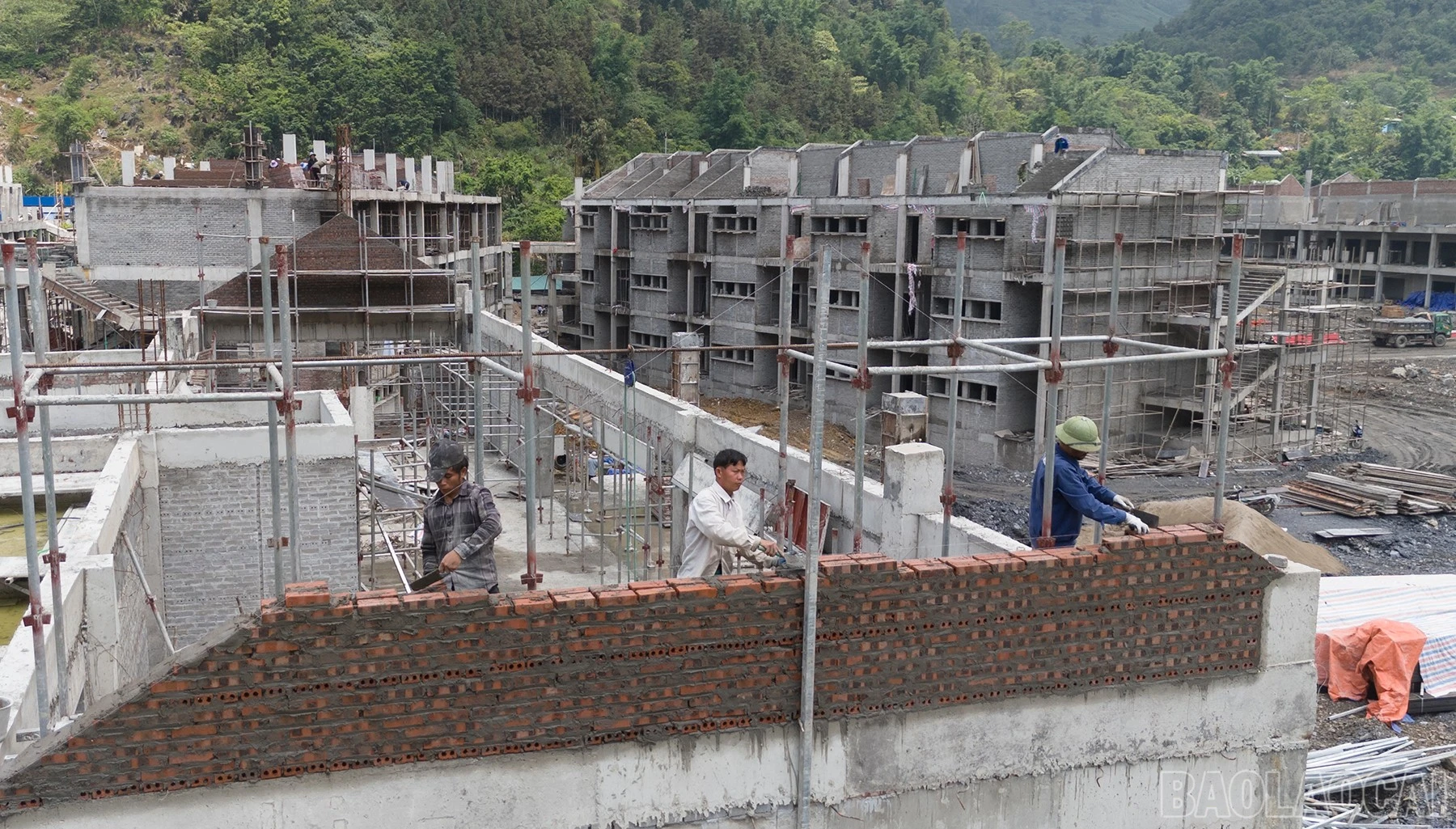 baolaocai-br_mk-4.jpg