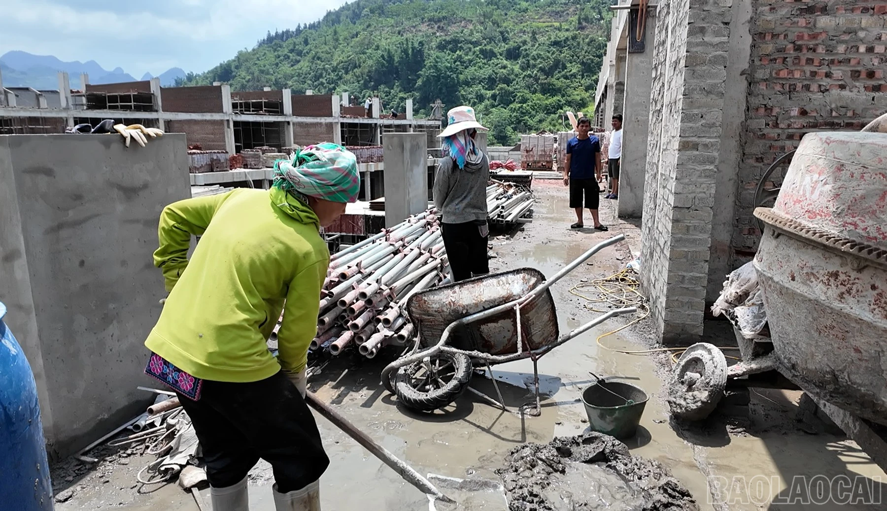 baolaocai-br_liencap-3.jpg