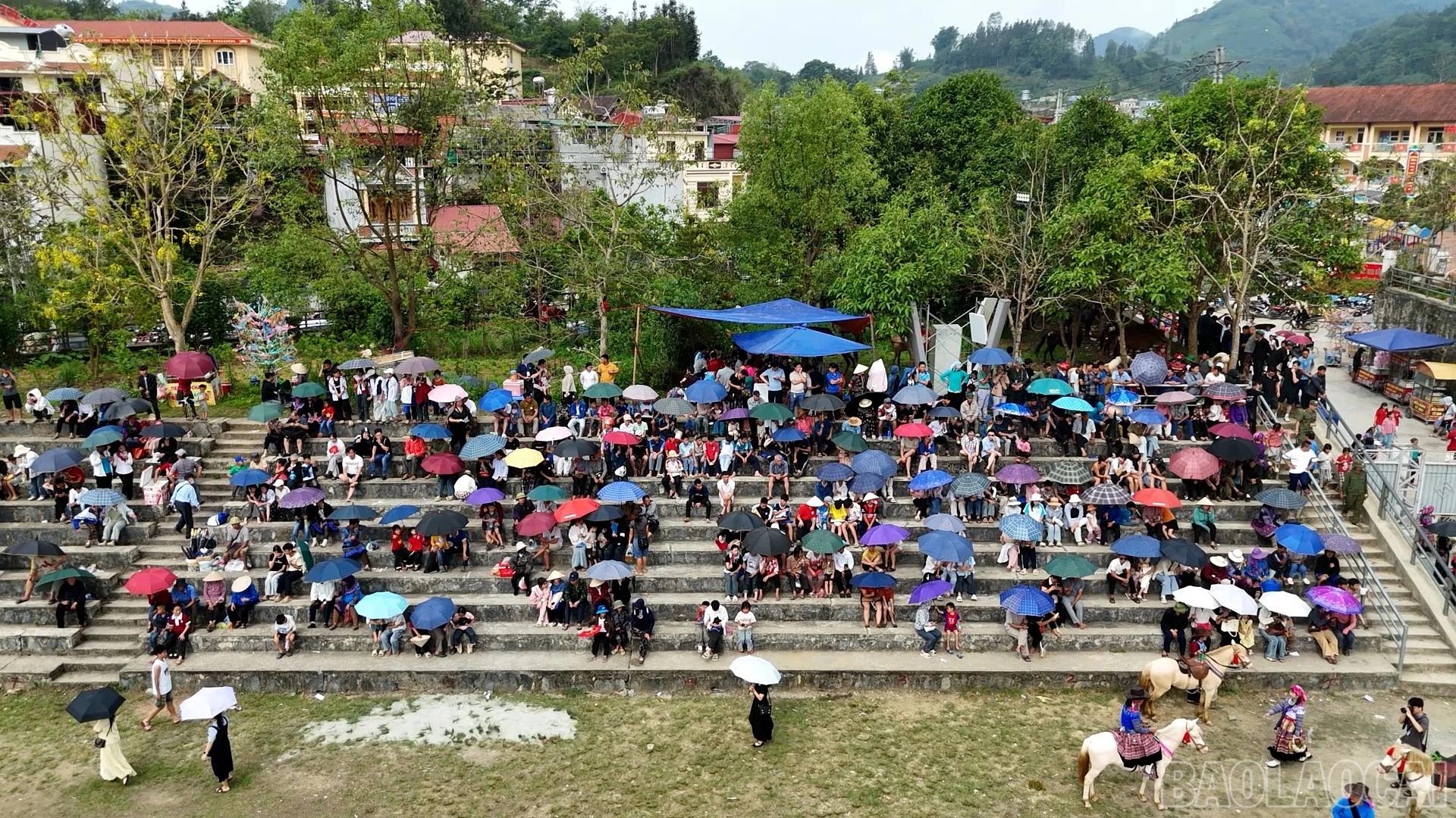 baolaocai-br_duangua-16.jpg