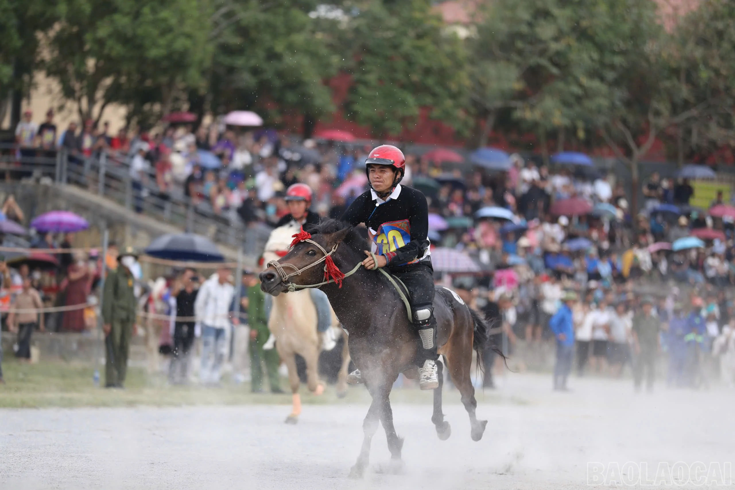 baolaocai-br_khaimac-9.jpg