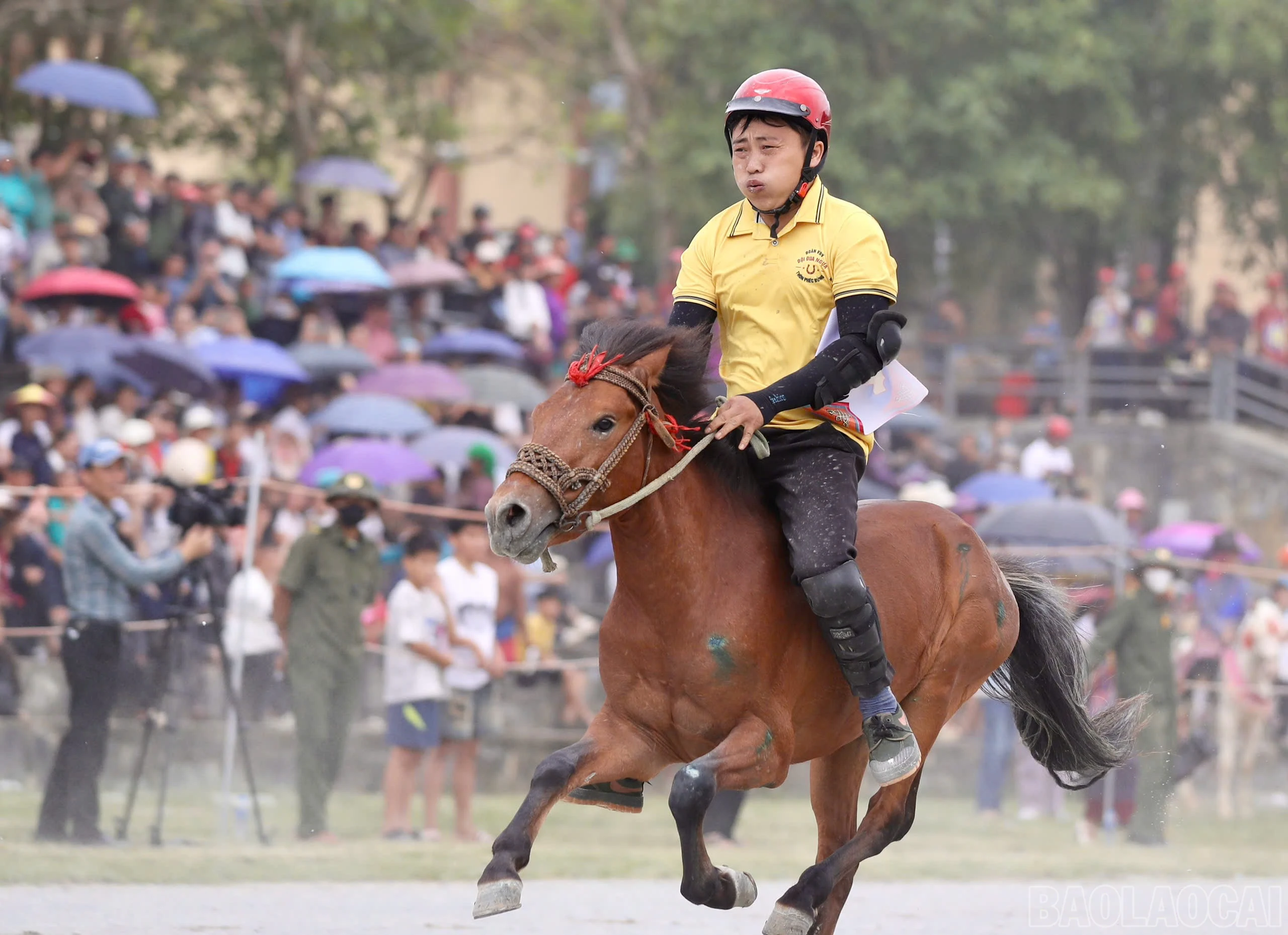 baolaocai-br_khaimac-4.jpg