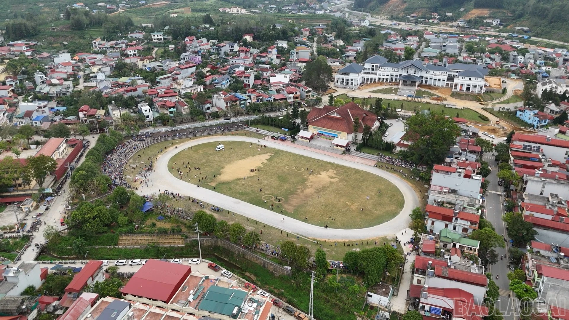 baolaocai-br_duangua-19.jpg