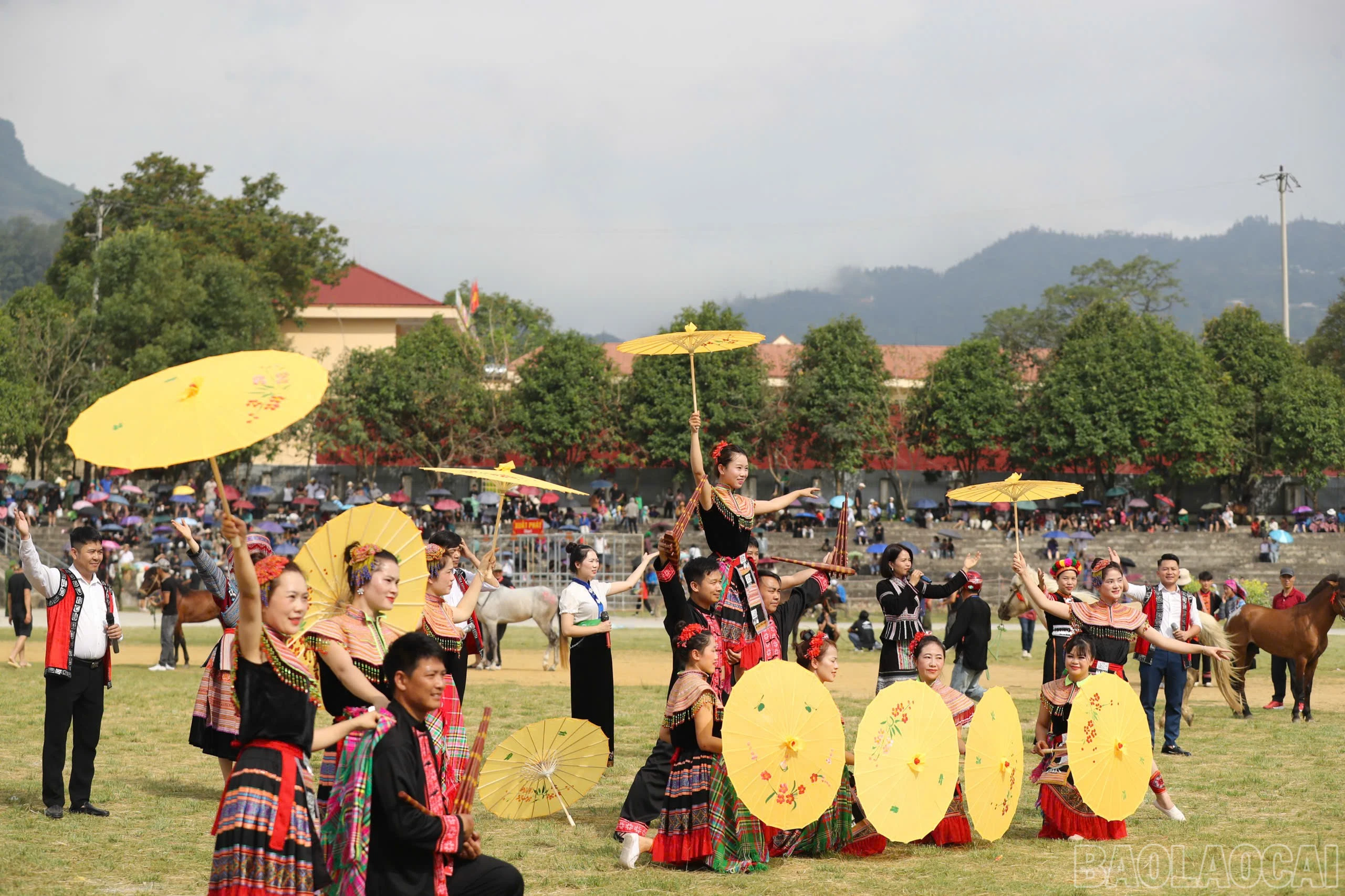 baolaocai-br_khaimac-12.jpg