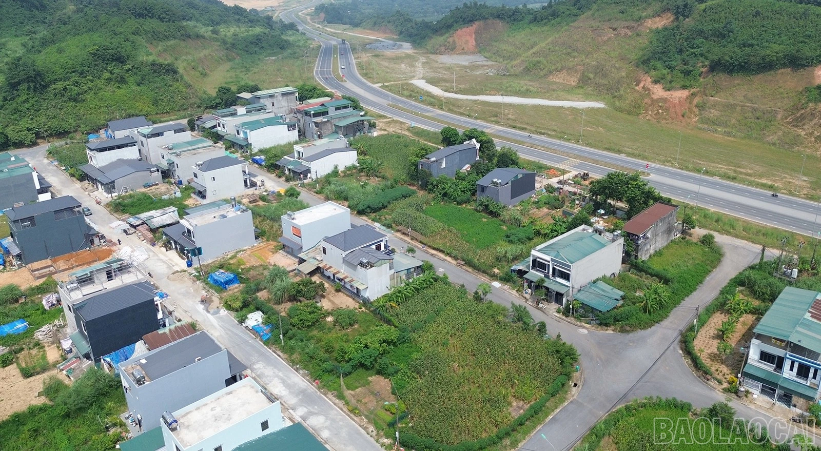 baolaocai-br_tdc-3.jpg