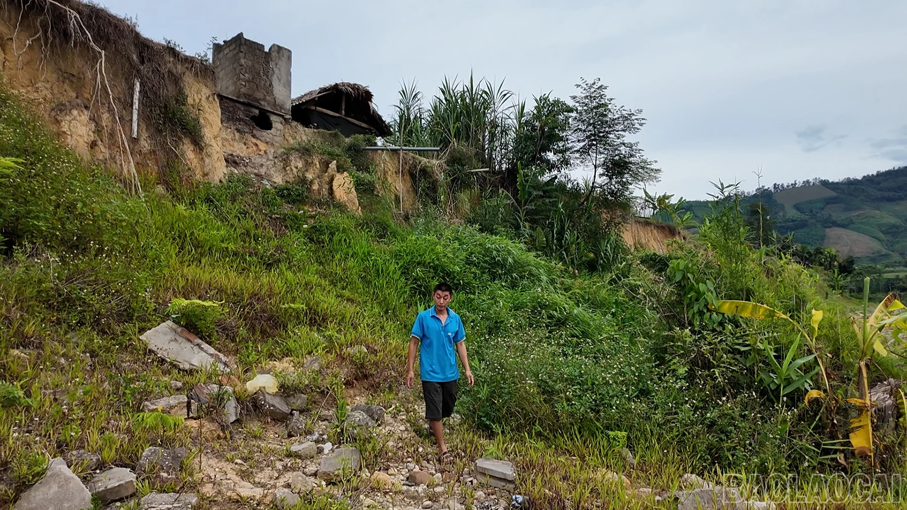 baolaocai-br_satlo-3.jpg