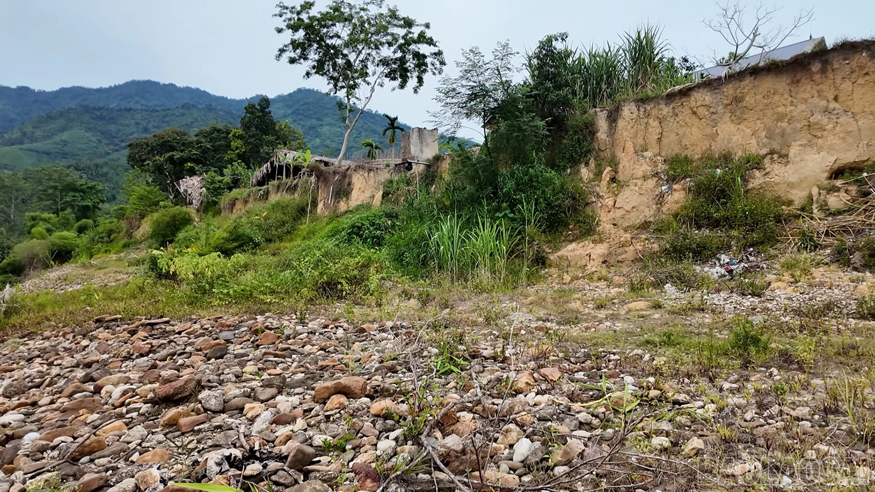 baolaocai-br_satlo-4.jpg