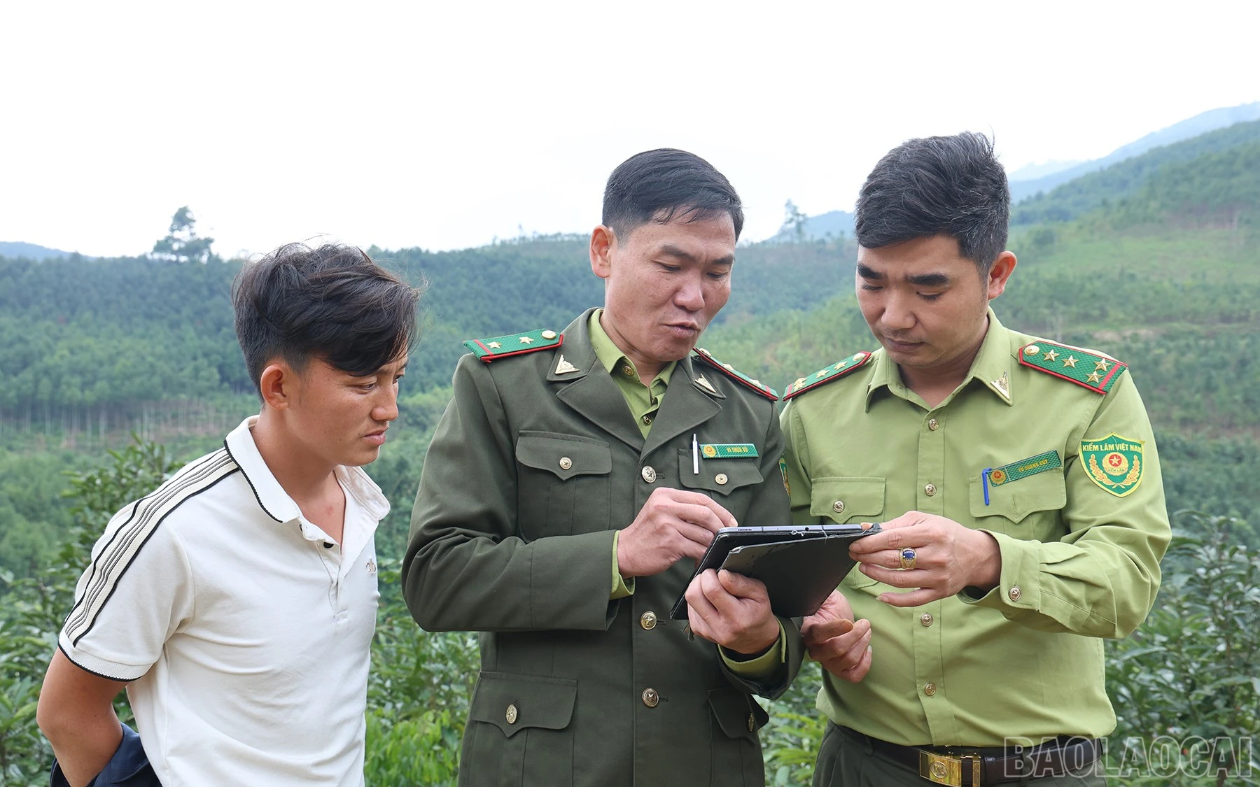 baolaocai-br_ca-7.jpg