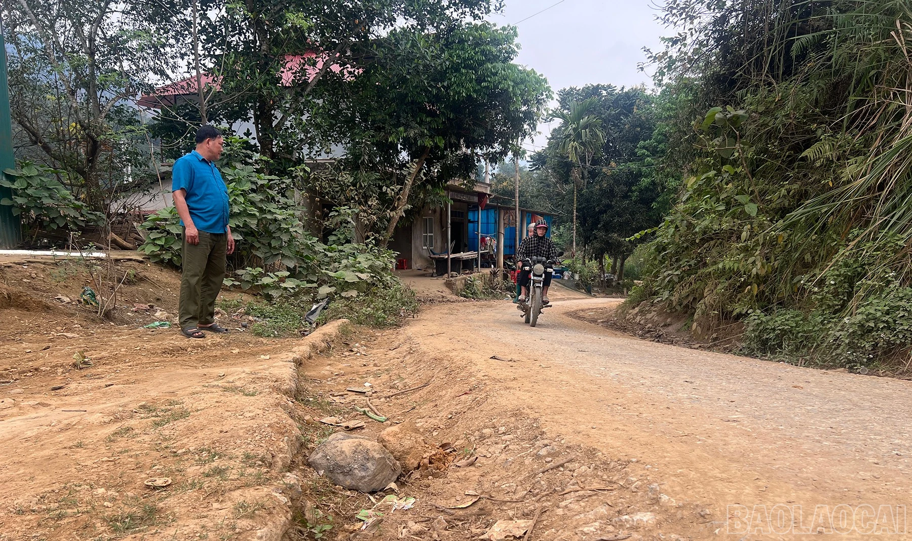 baolaocai-br_duong-2.jpg