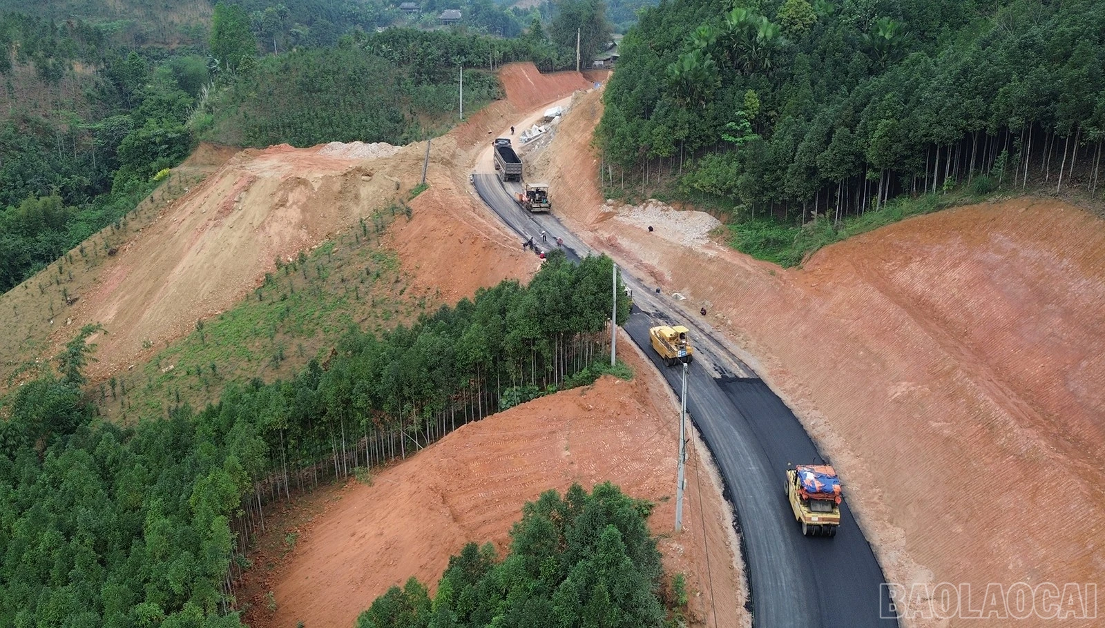 baolaocai-br_dji-0801.jpg