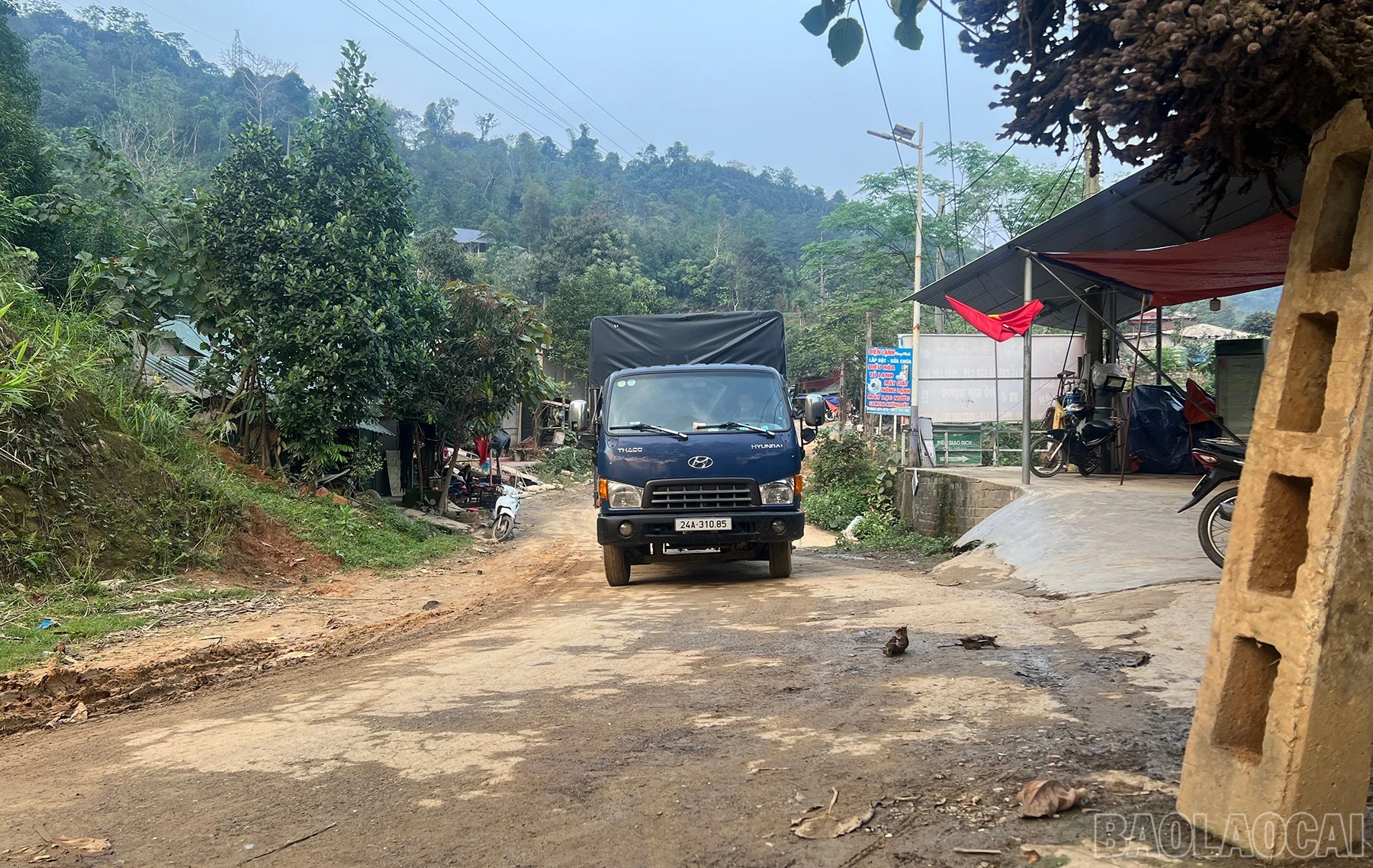 baolaocai-br_duong-12.jpg