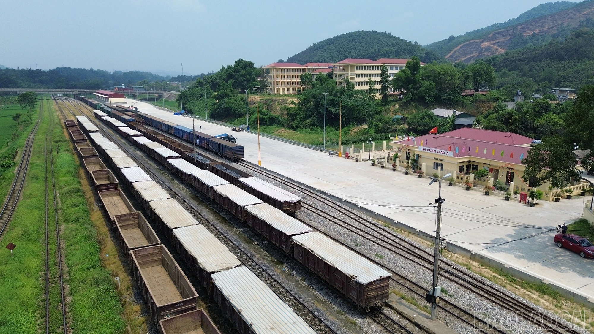 baolaocai-br_dji-0861.jpg