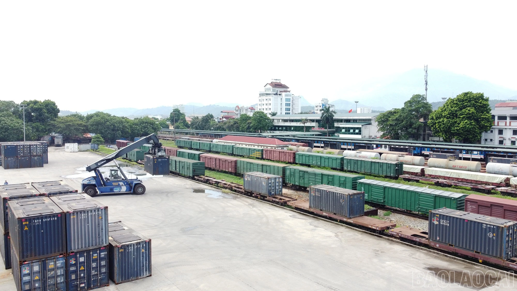 baolaocai-br_dji-0108.jpg