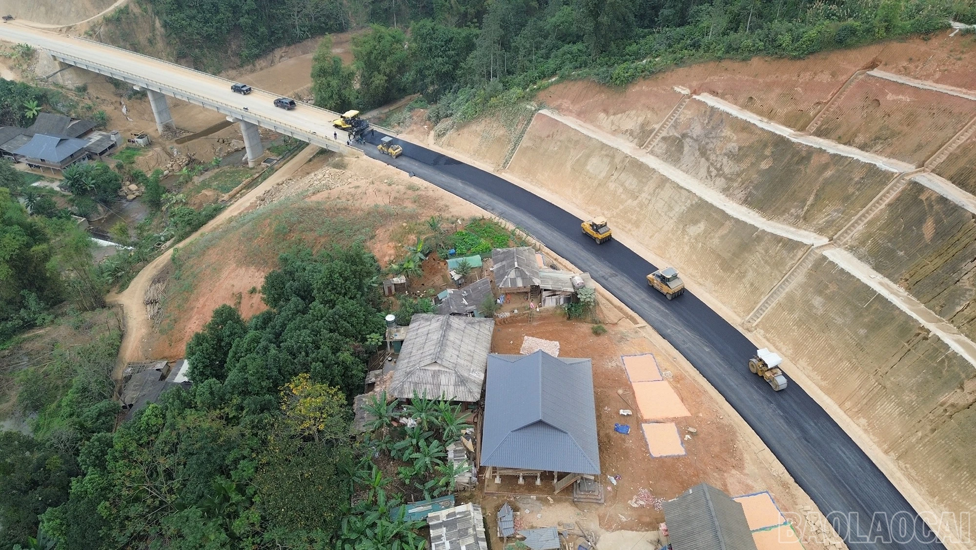 baolaocai-br_dji-0737.jpg
