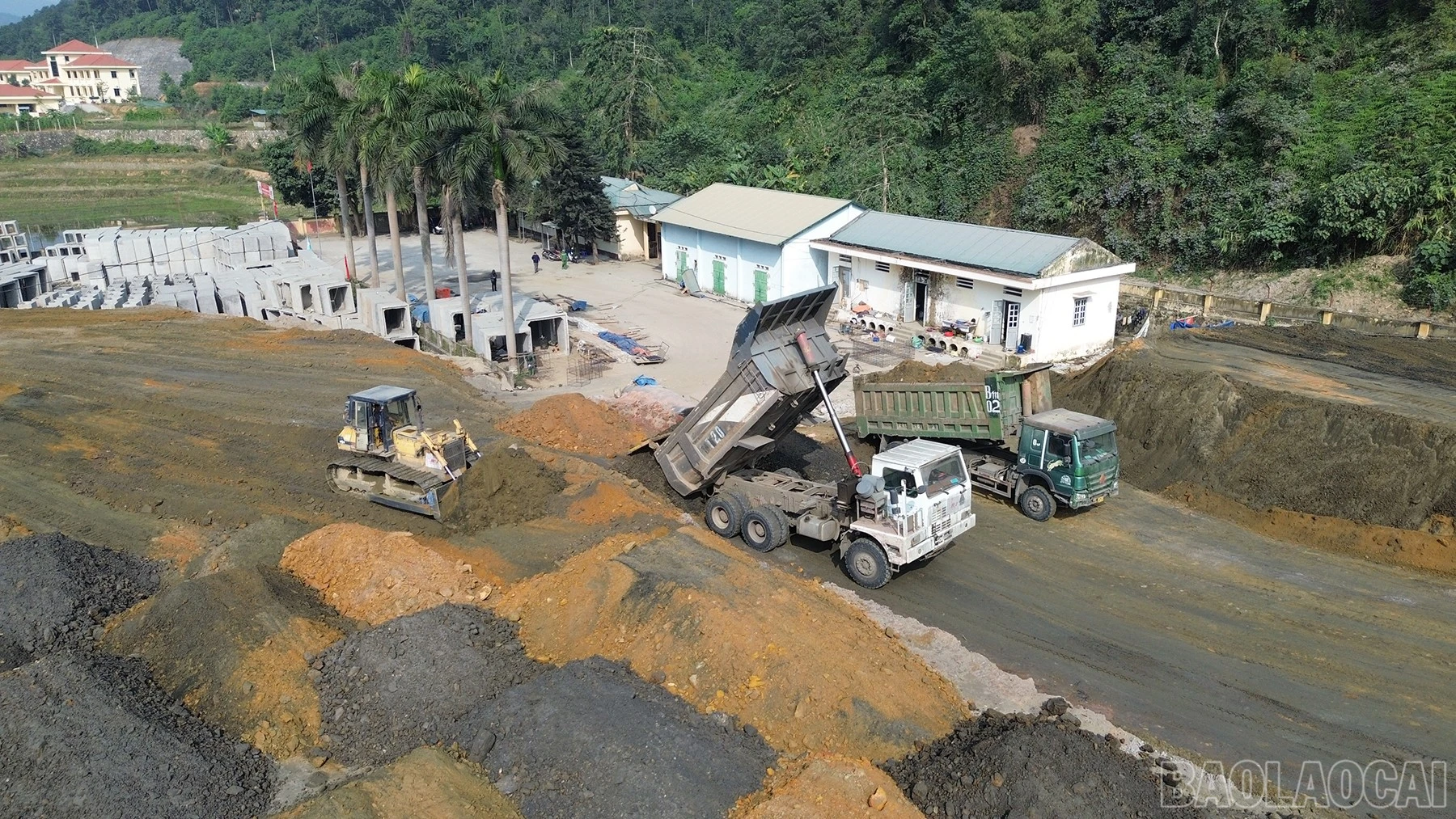 baolaocai-br_dji-0781.jpg