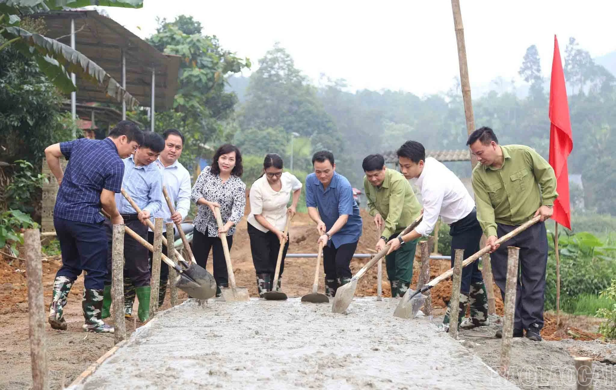 baolaocai-br_plgiaothong-2.jpg