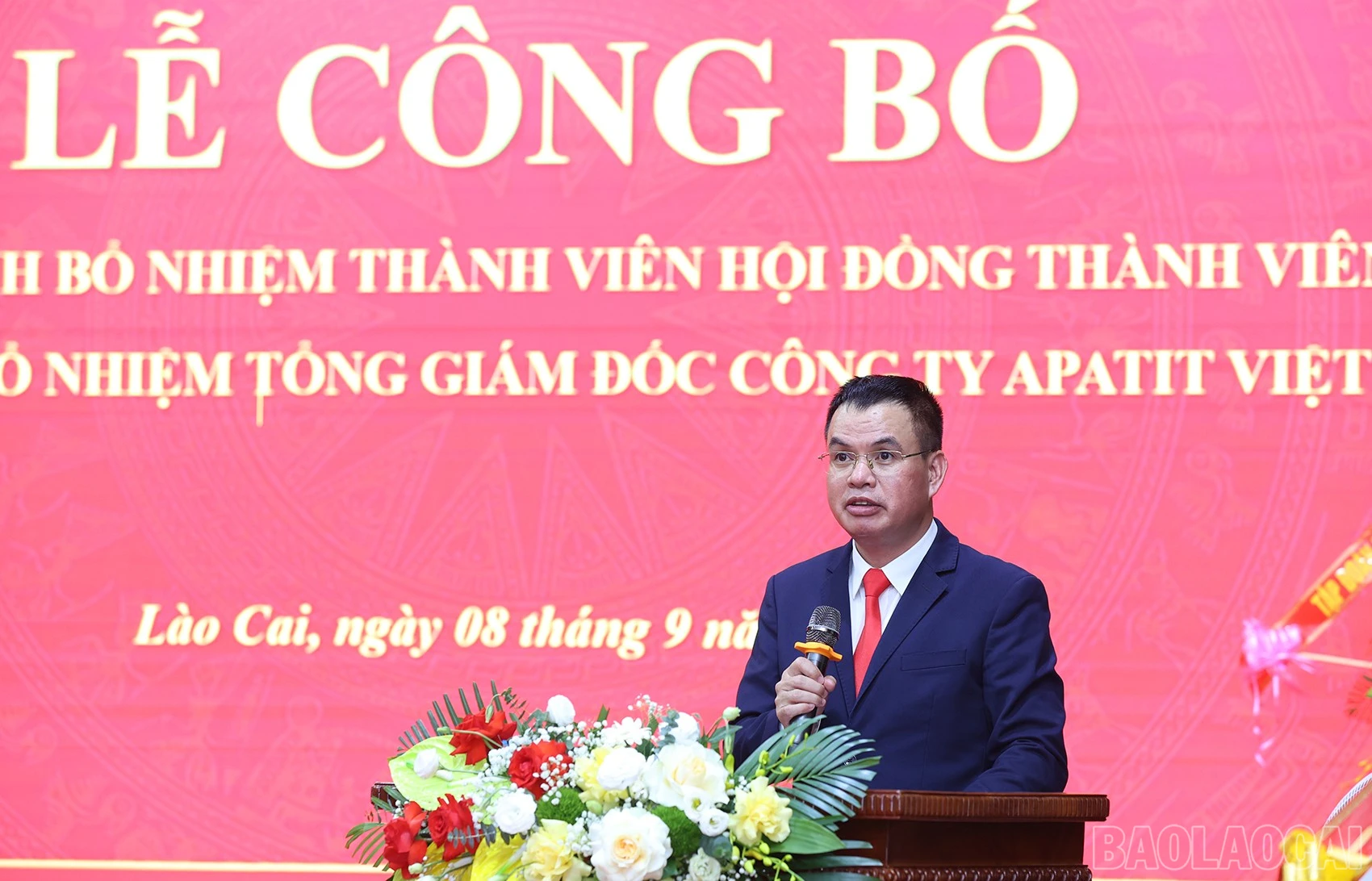 baolaocai-br_img-9246.jpg
