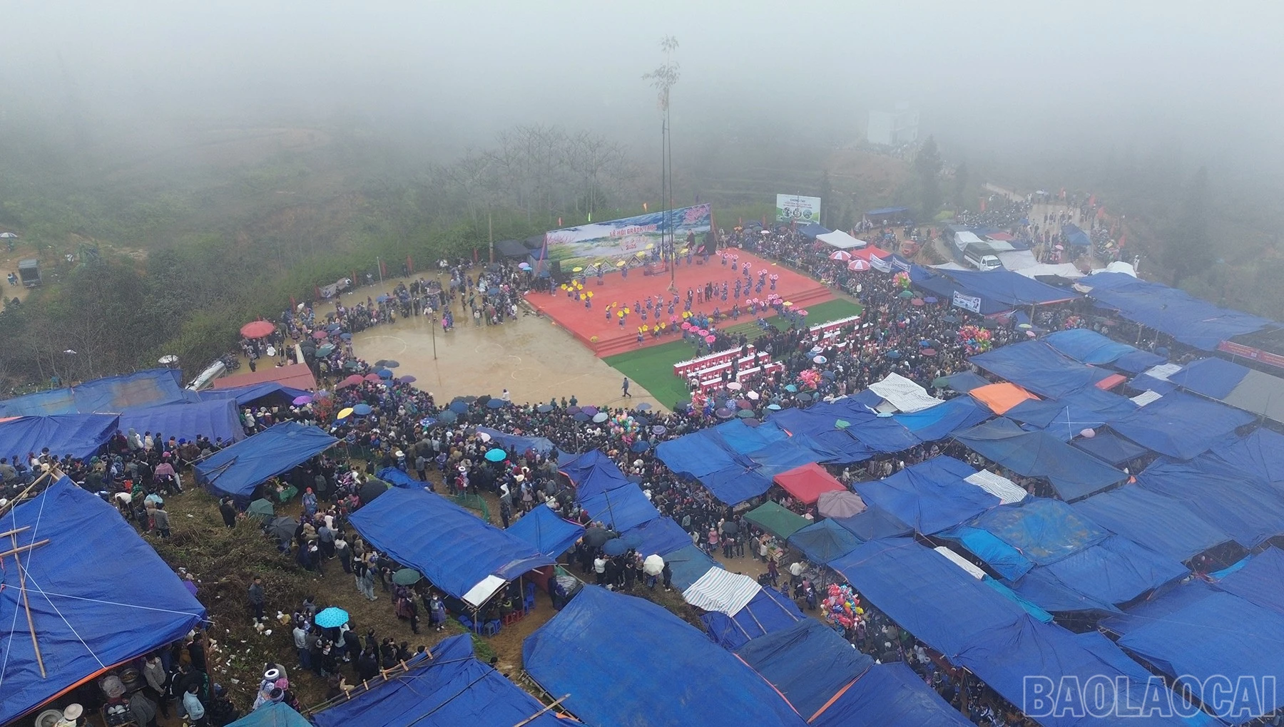 baolaocai-br_dji-0533.jpg