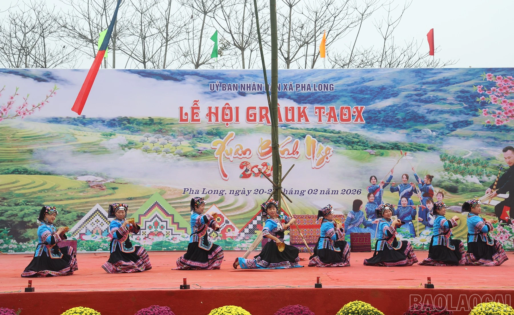baolaocai-br_img-7116.jpg