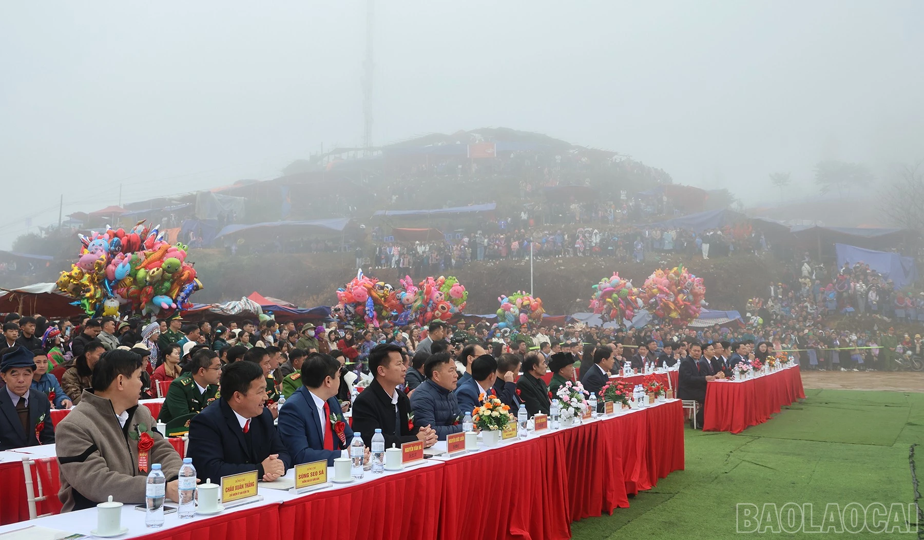 baolaocai-br_img-6961.jpg