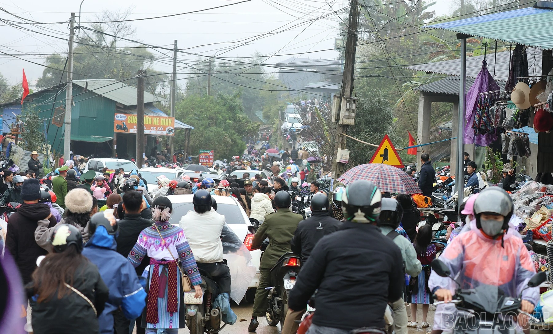 baolaocai-br_img-7287.jpg