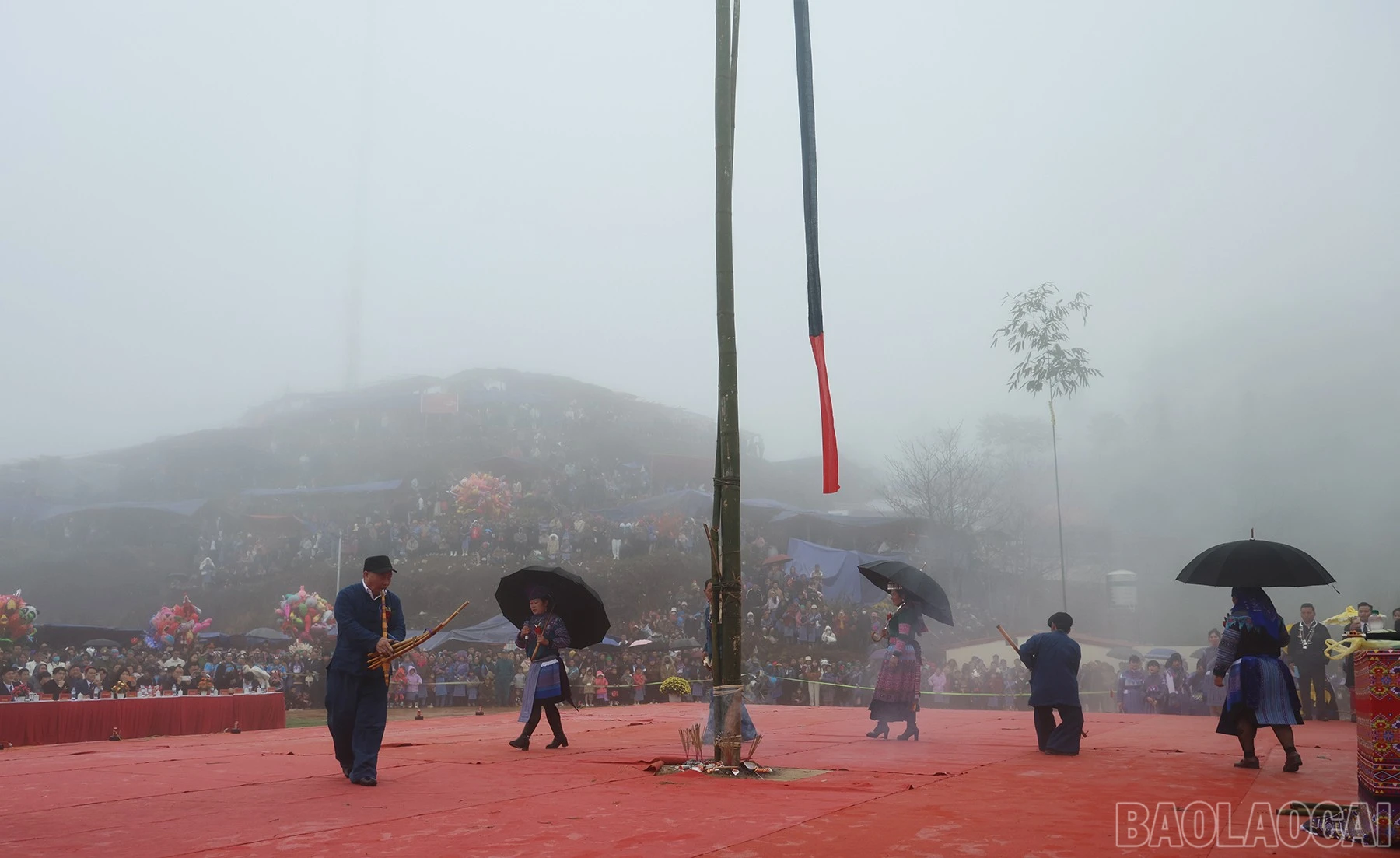 baolaocai-br_img-7054.jpg