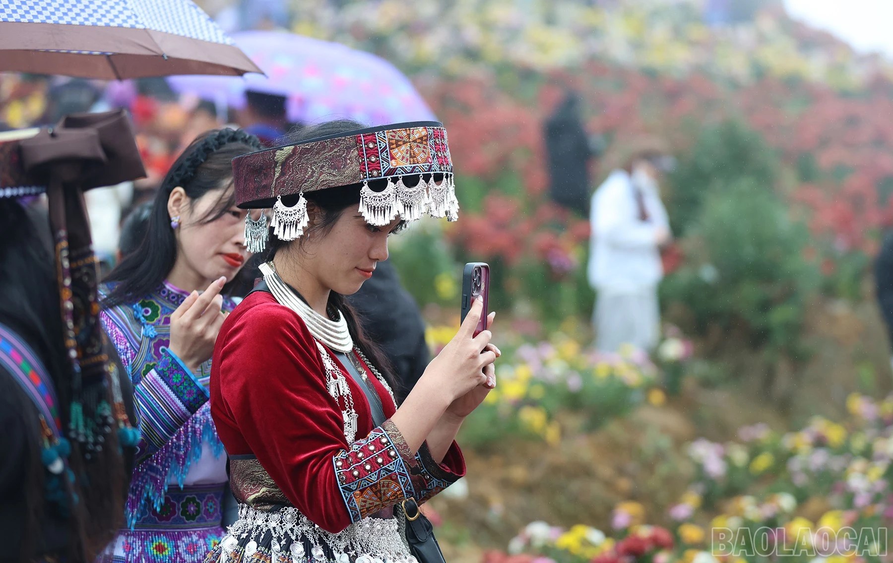 baolaocai-br_img-7248.jpg