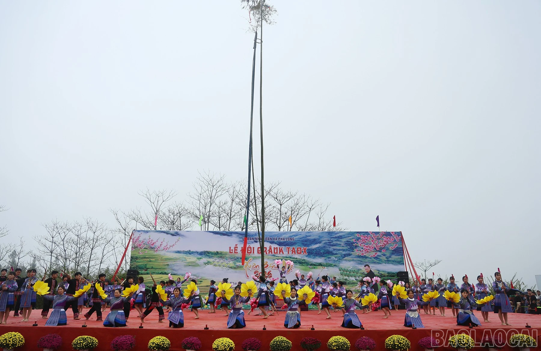 baolaocai-br_img-7097.jpg