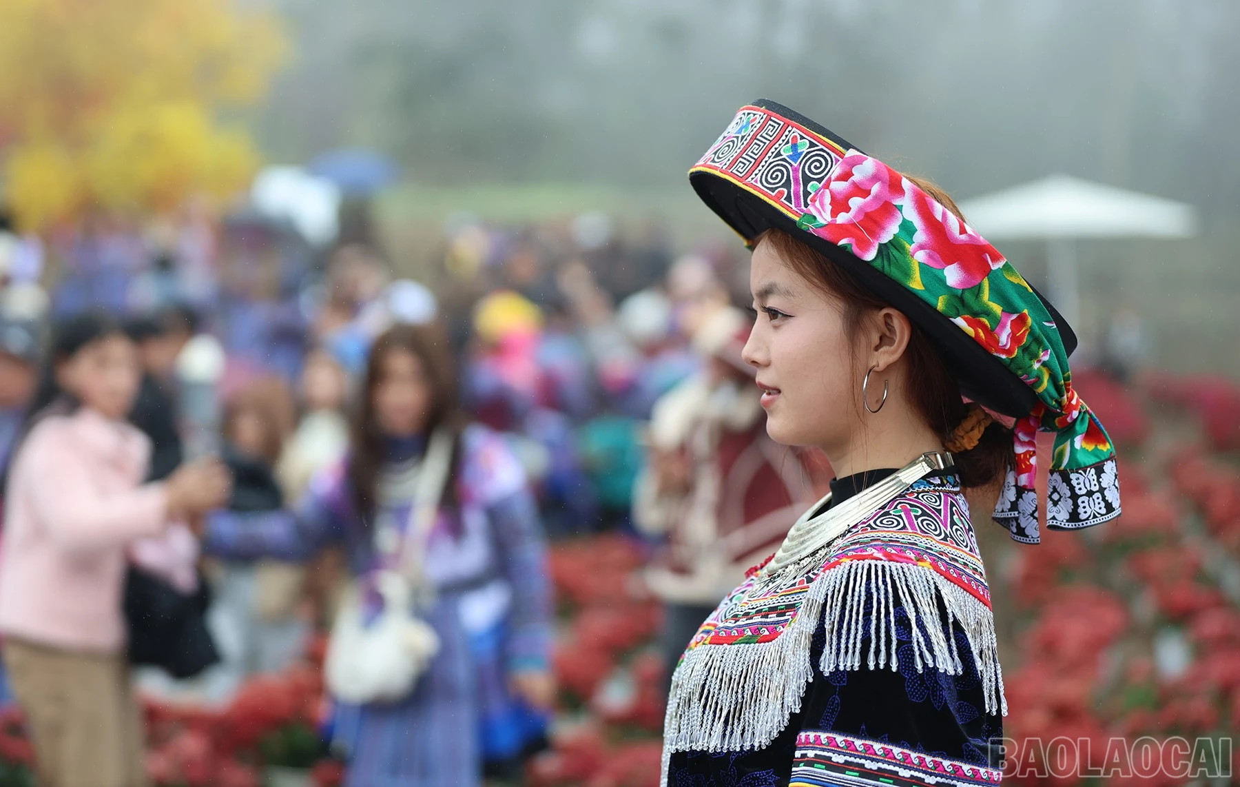 baolaocai-br_img-7214.jpg