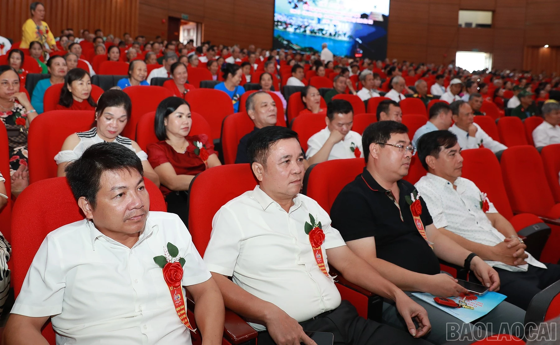 baolaocai-br_ax5i2474.jpg