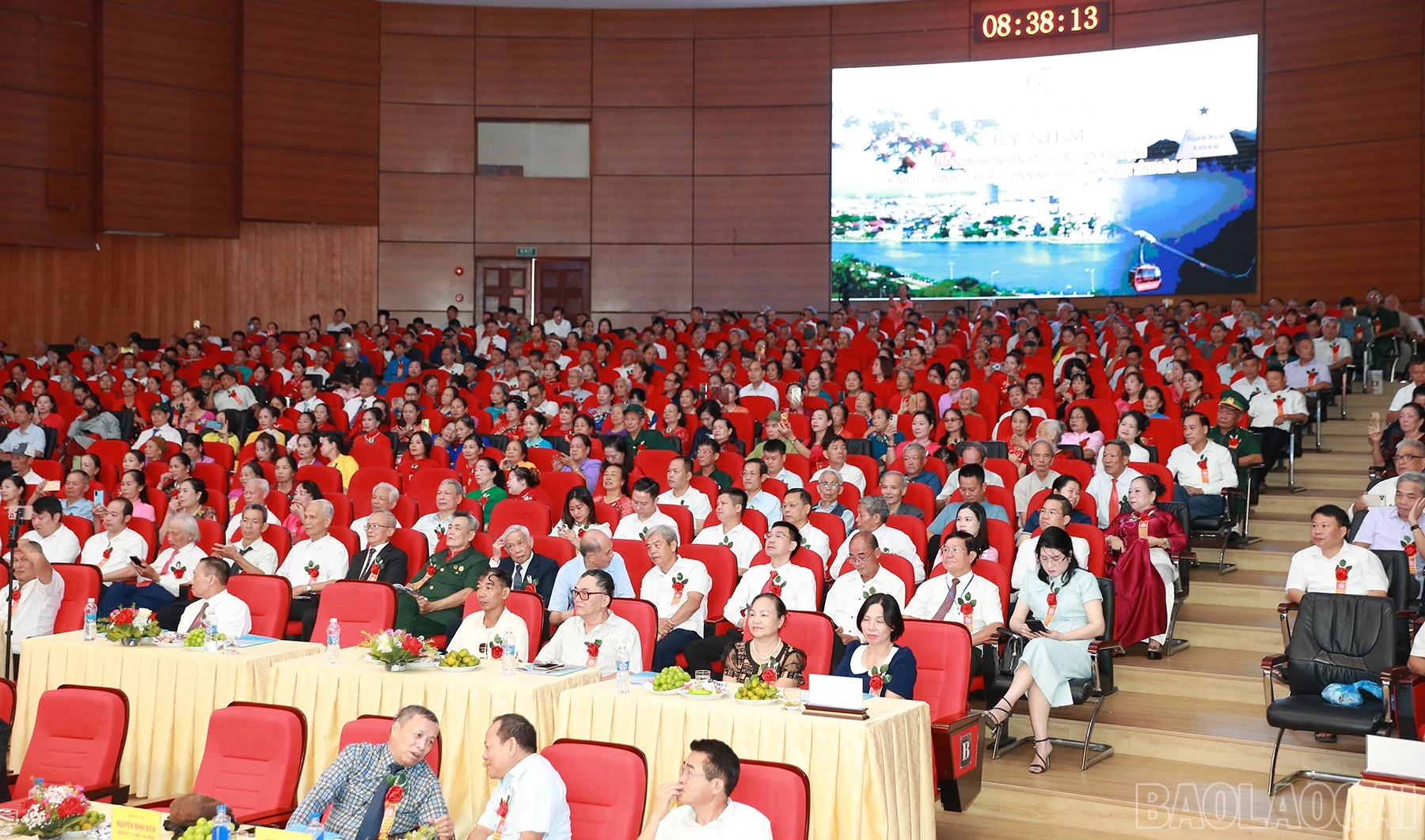 baolaocai-br_ax5i2225.jpg
