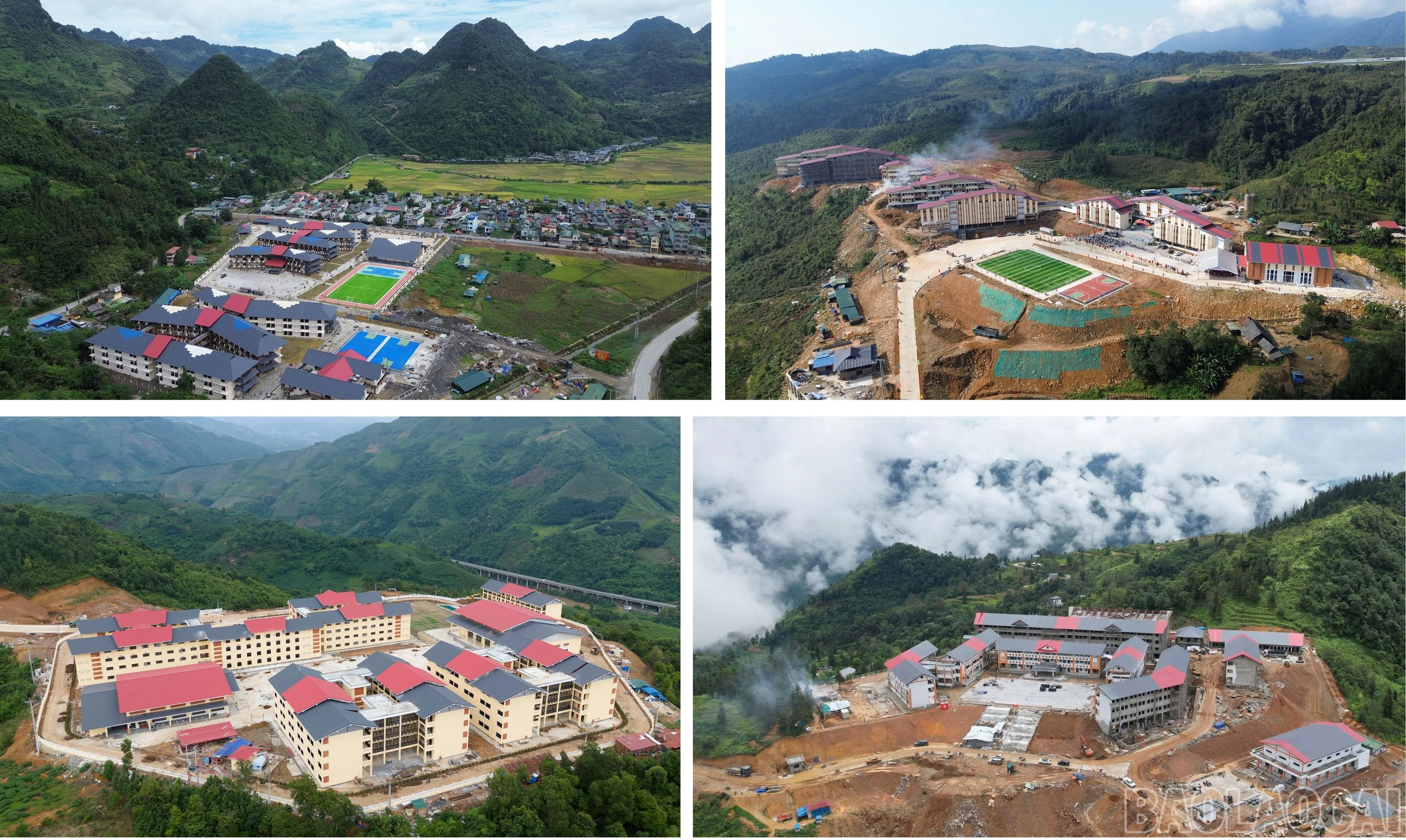 baolaocai-br_3.jpg