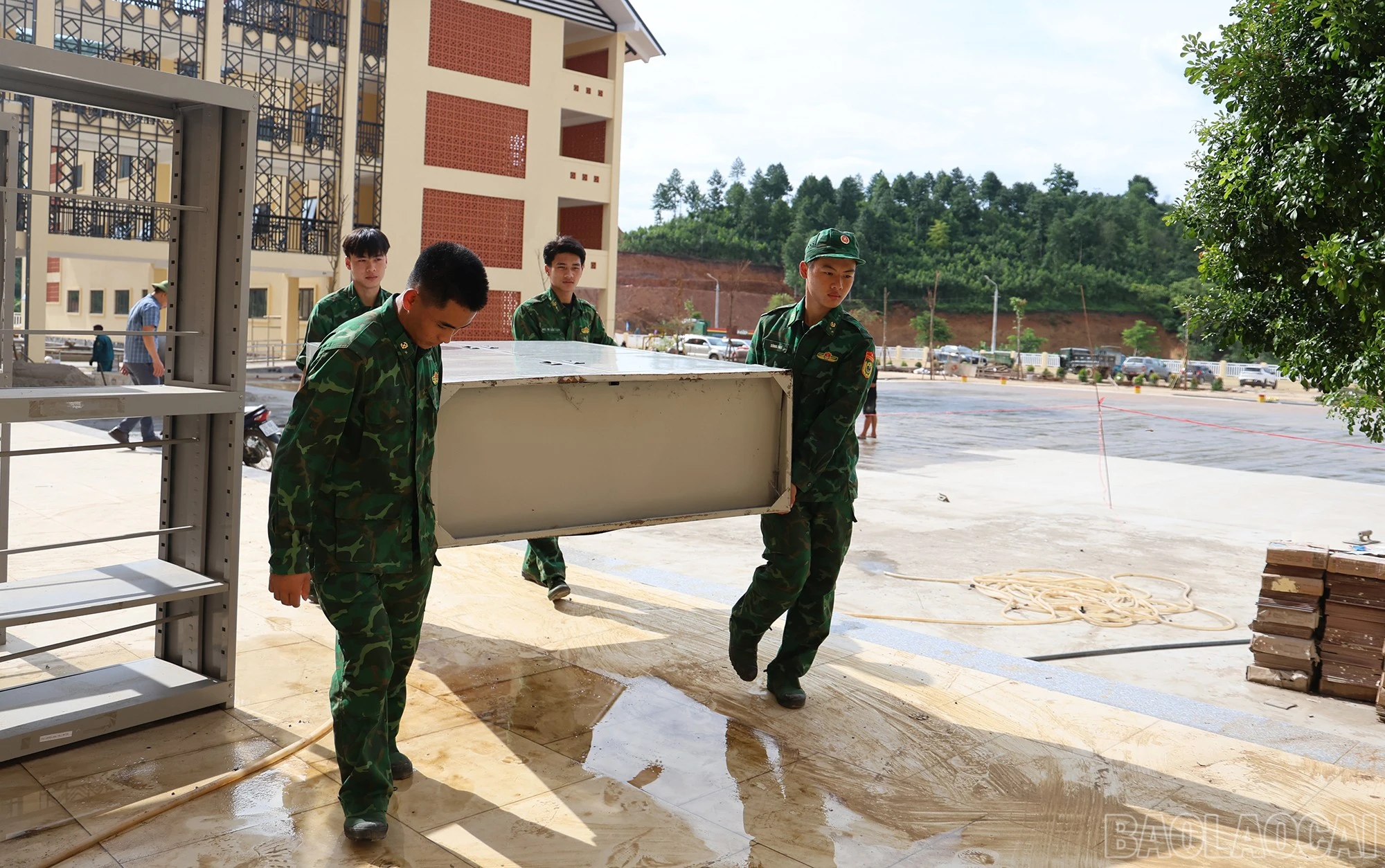 baolaocai-br_img-7795.jpg