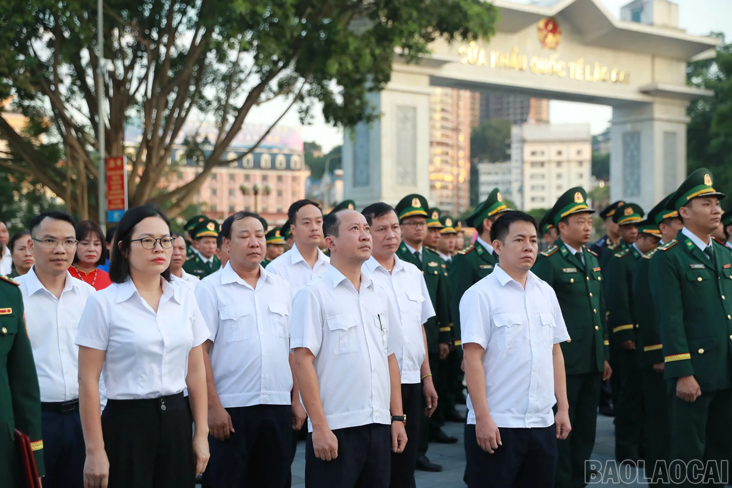baolaocai-br_cc-14.jpg