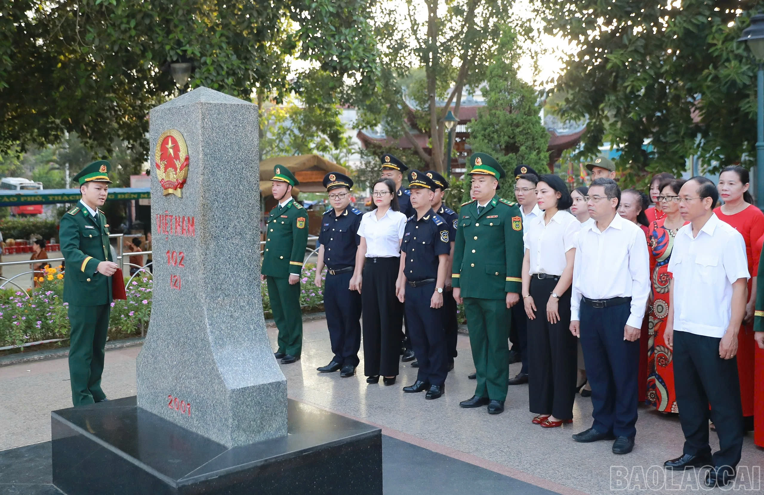 baolaocai-br_cc-5.jpg