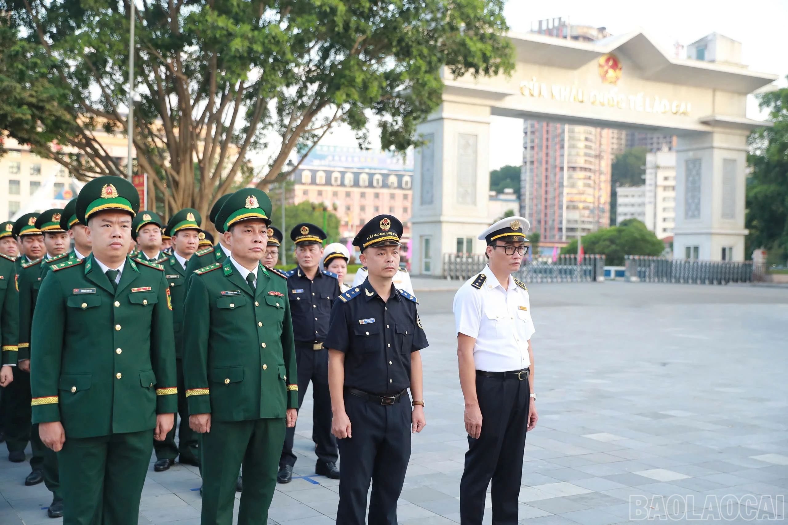 baolaocai-br_cc-13.jpg