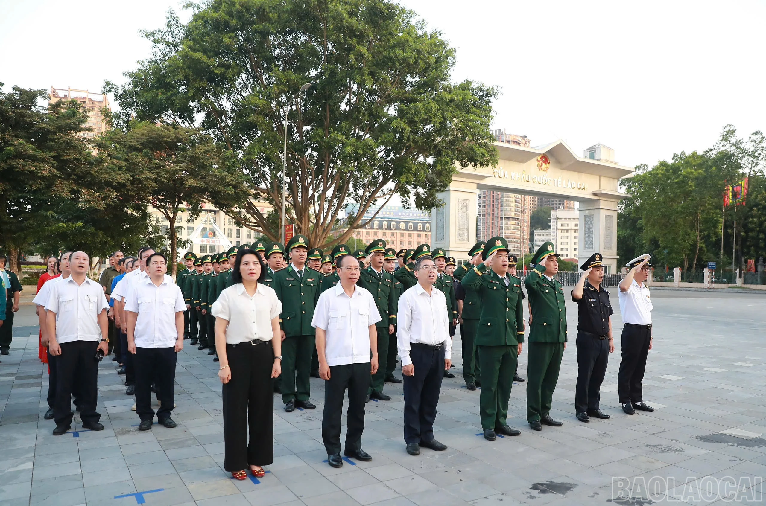 baolaocai-br_cc-4.jpg