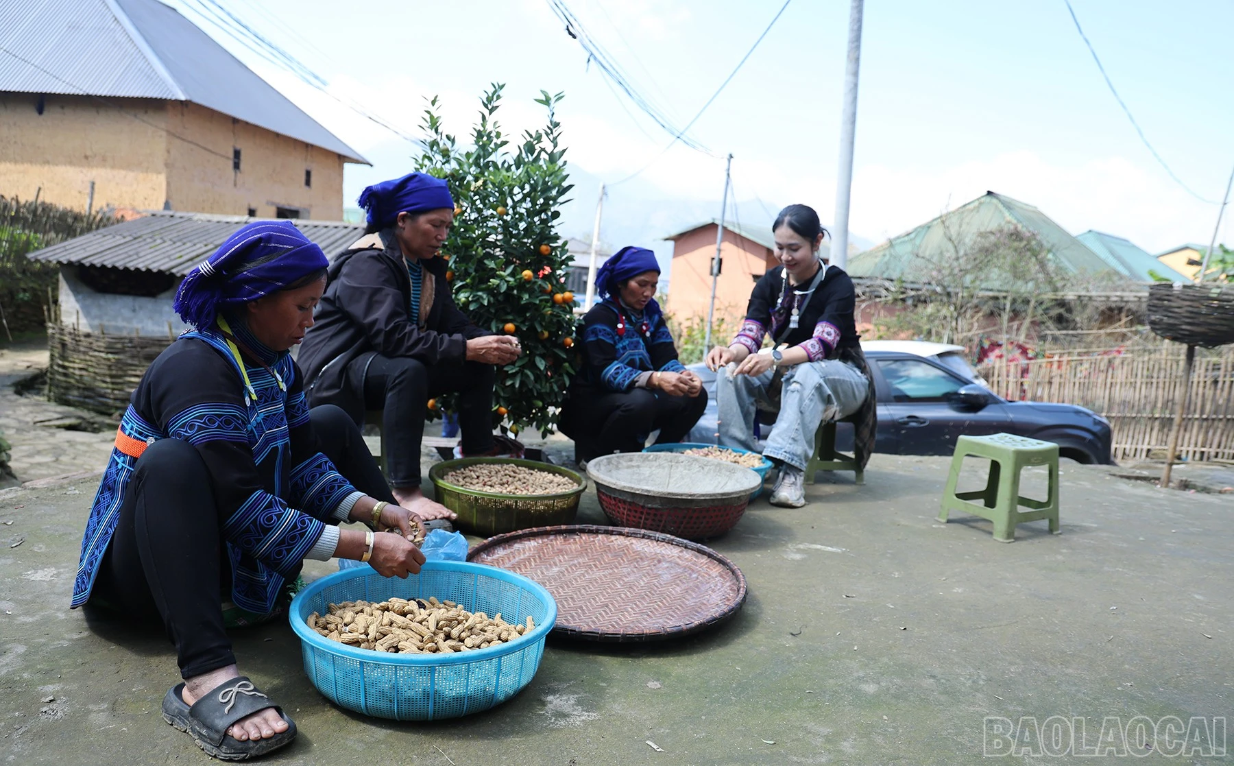 baolaocai-br_img-7477.jpg
