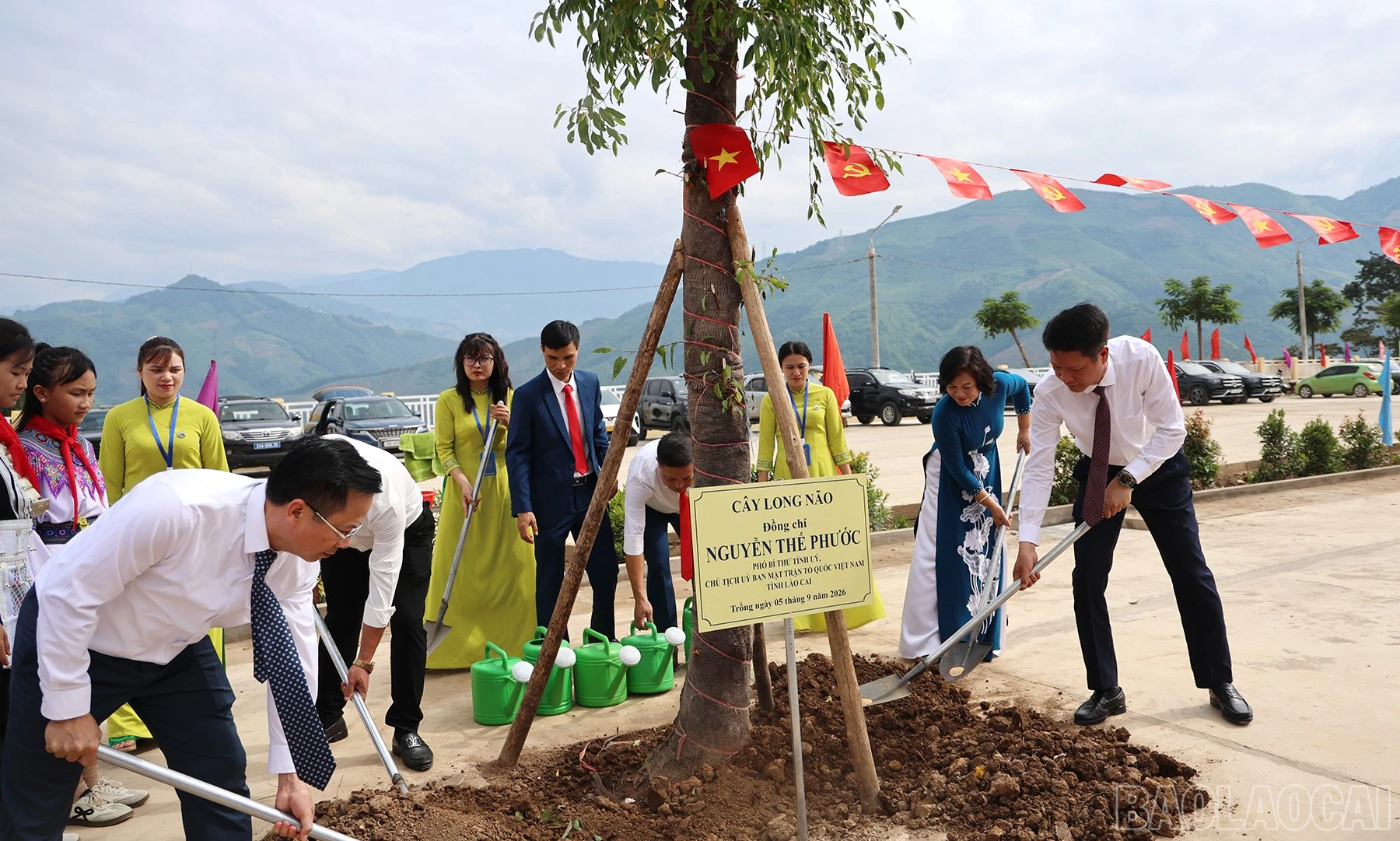 baolaocai-br_img-8964.jpg