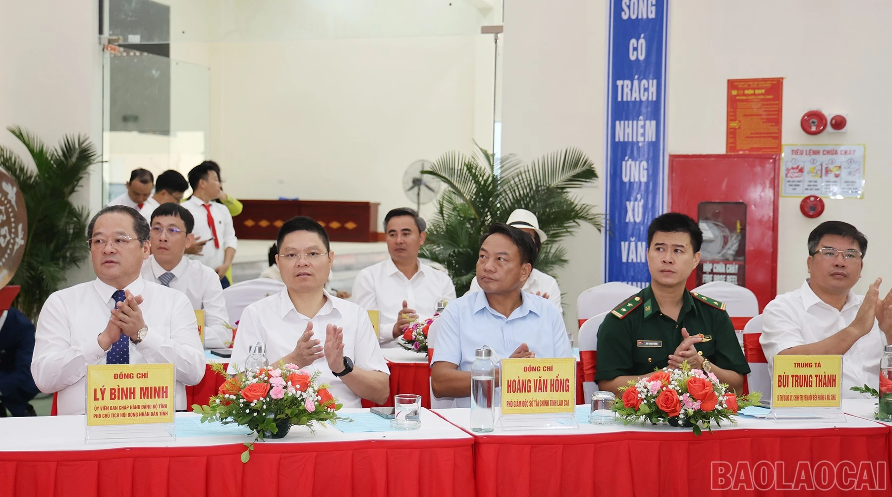 baolaocai-br_img-8567.jpg