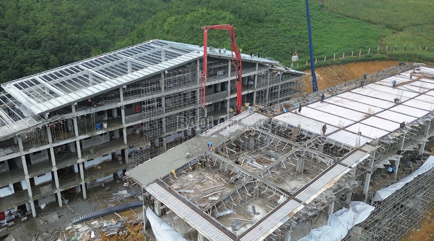 baolaocai-c_dji-0667.jpg