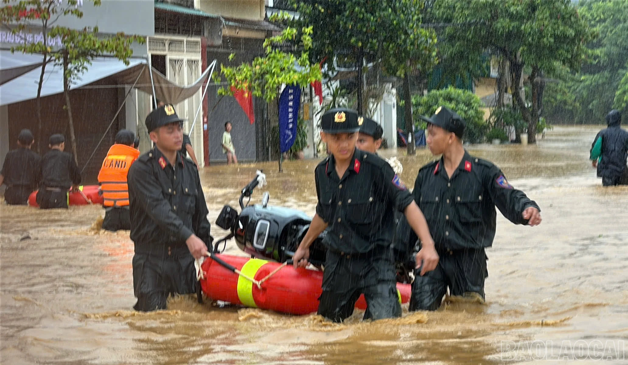 baolaocai-br_mliu-2.jpg