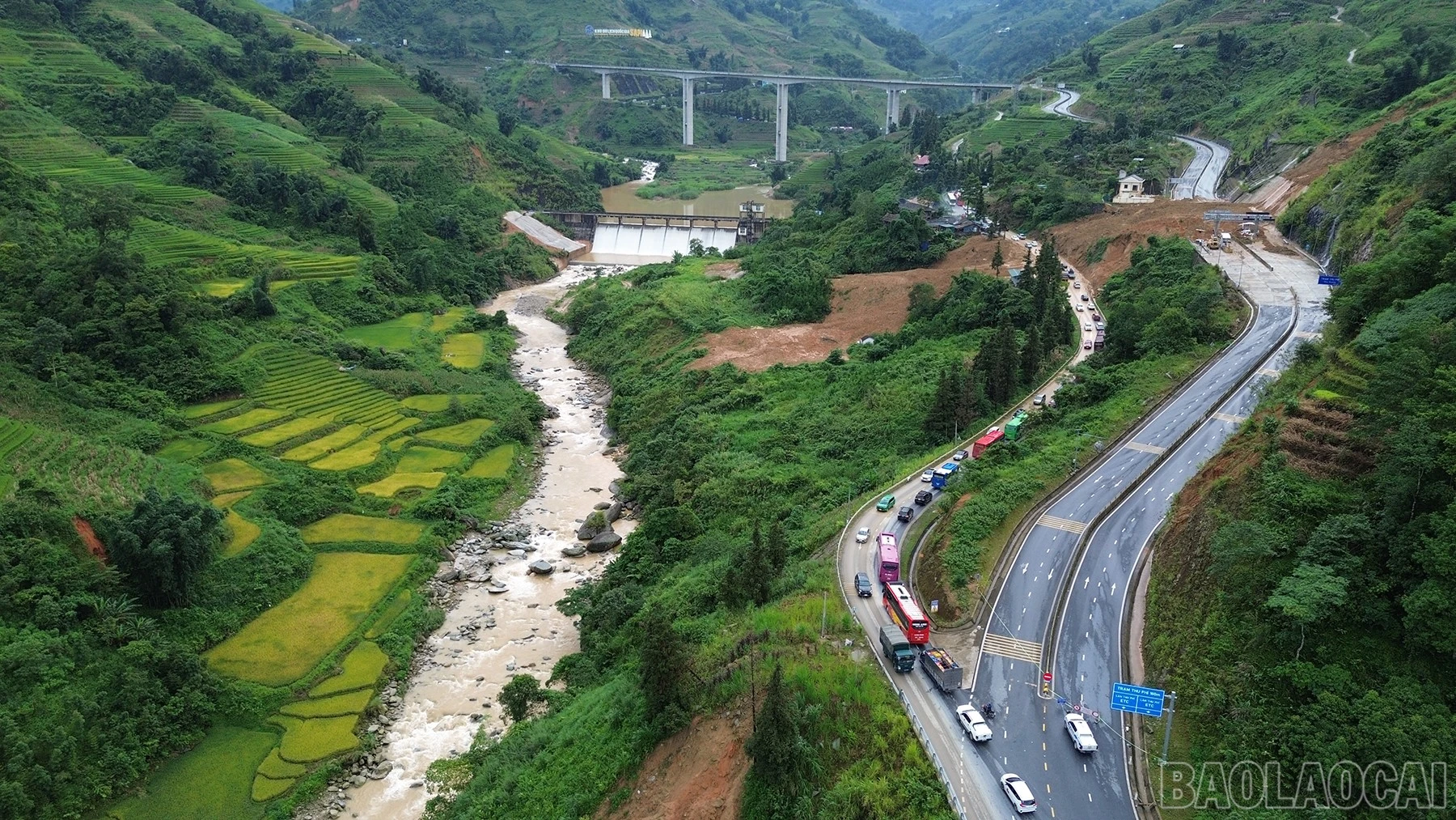 baolaocai-br_dji-0977.jpg