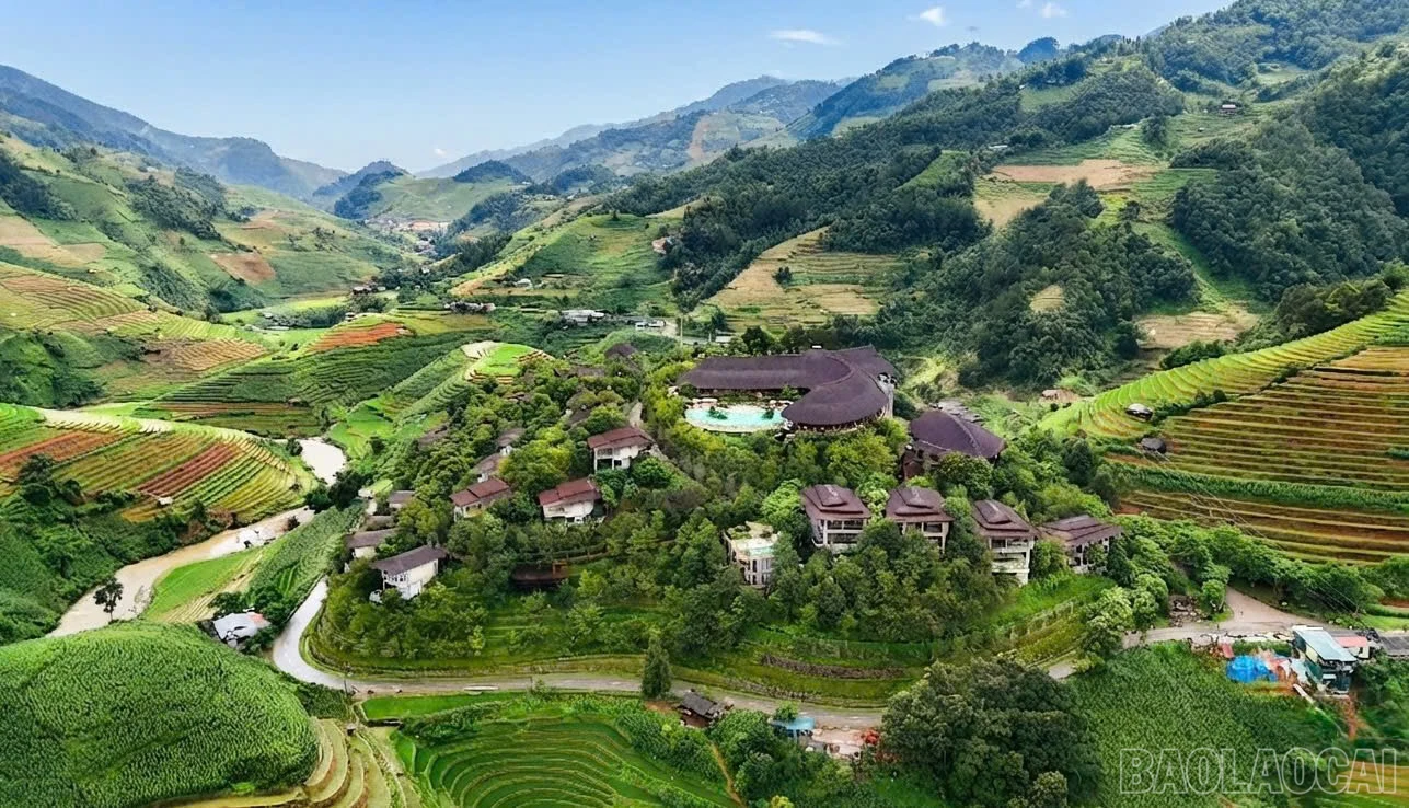 baolaocai-br_deo-1.jpg