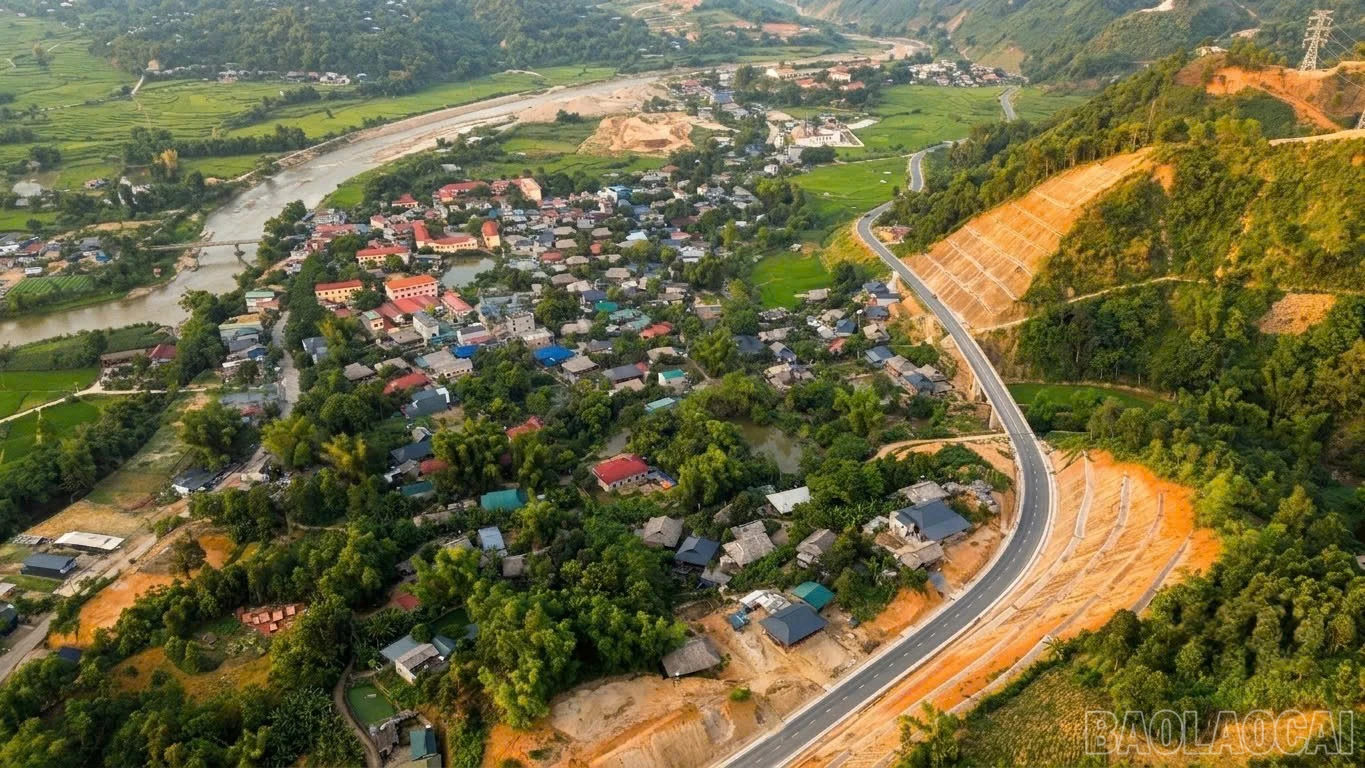 baolaocai-br_duongquy.jpg
