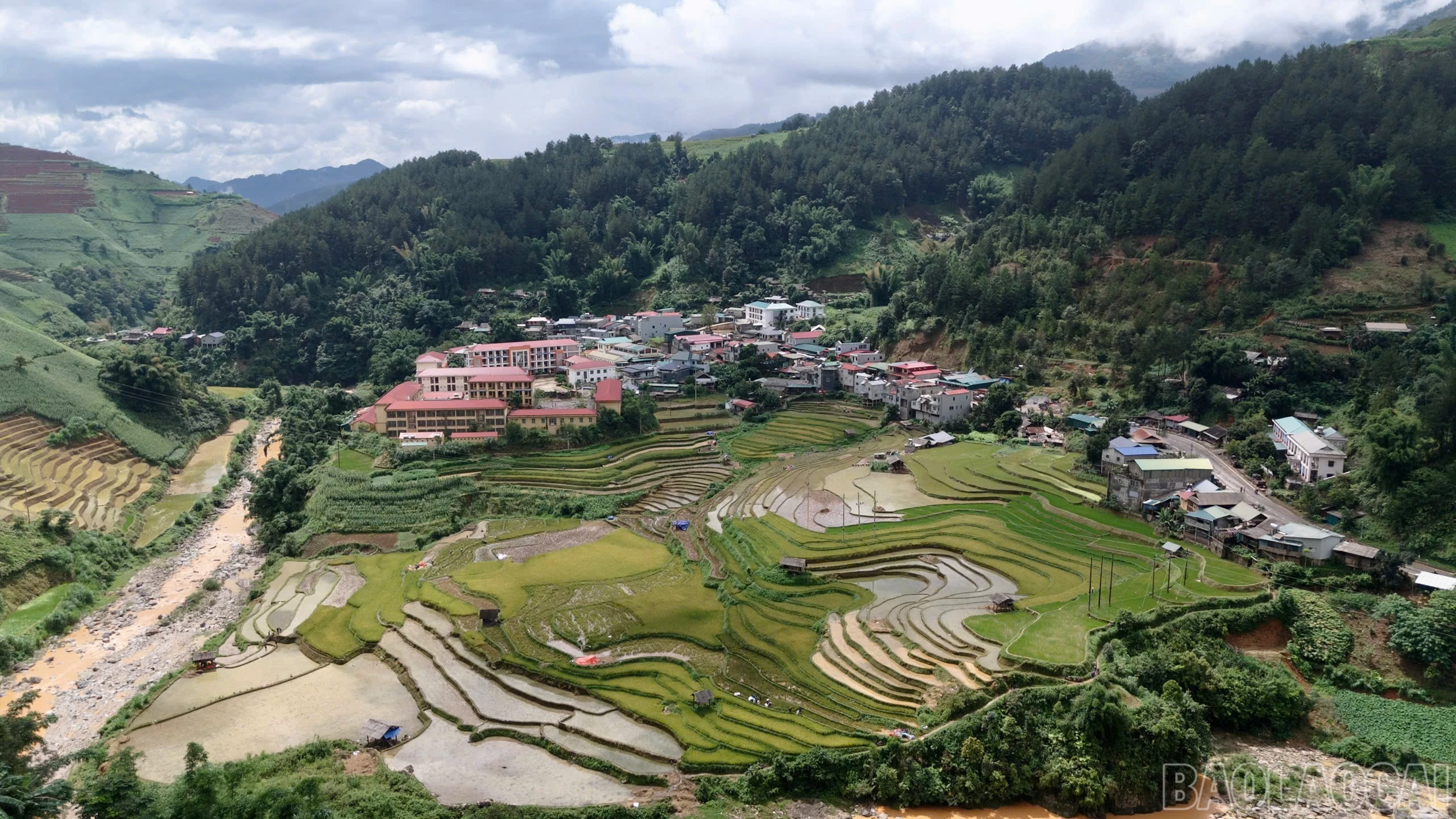 baolaocai-br_deo-8.jpg