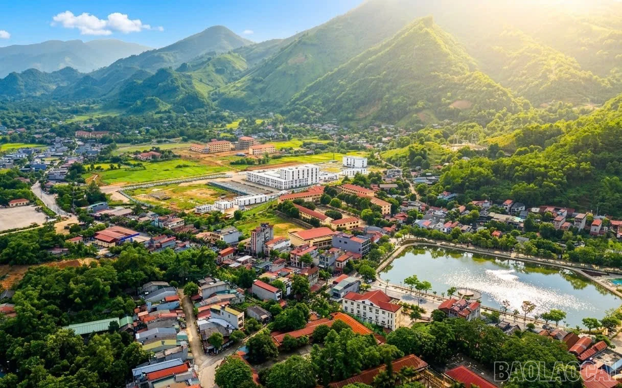 baolaocai-br_deo.jpg